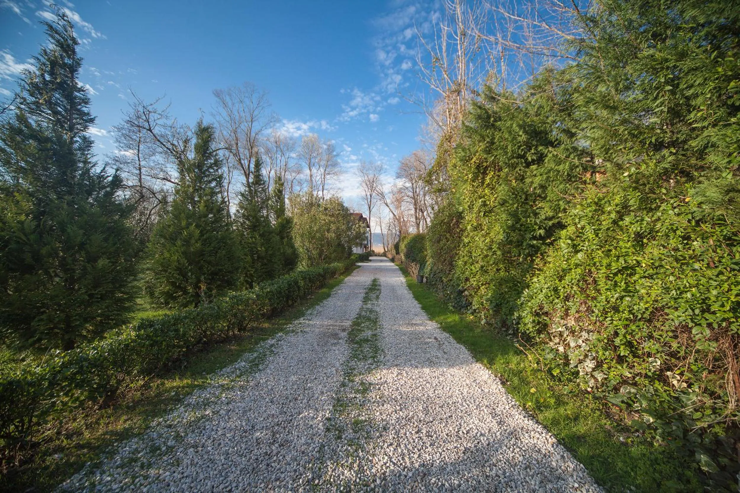 Natural landscape in Beta Home Sapanca