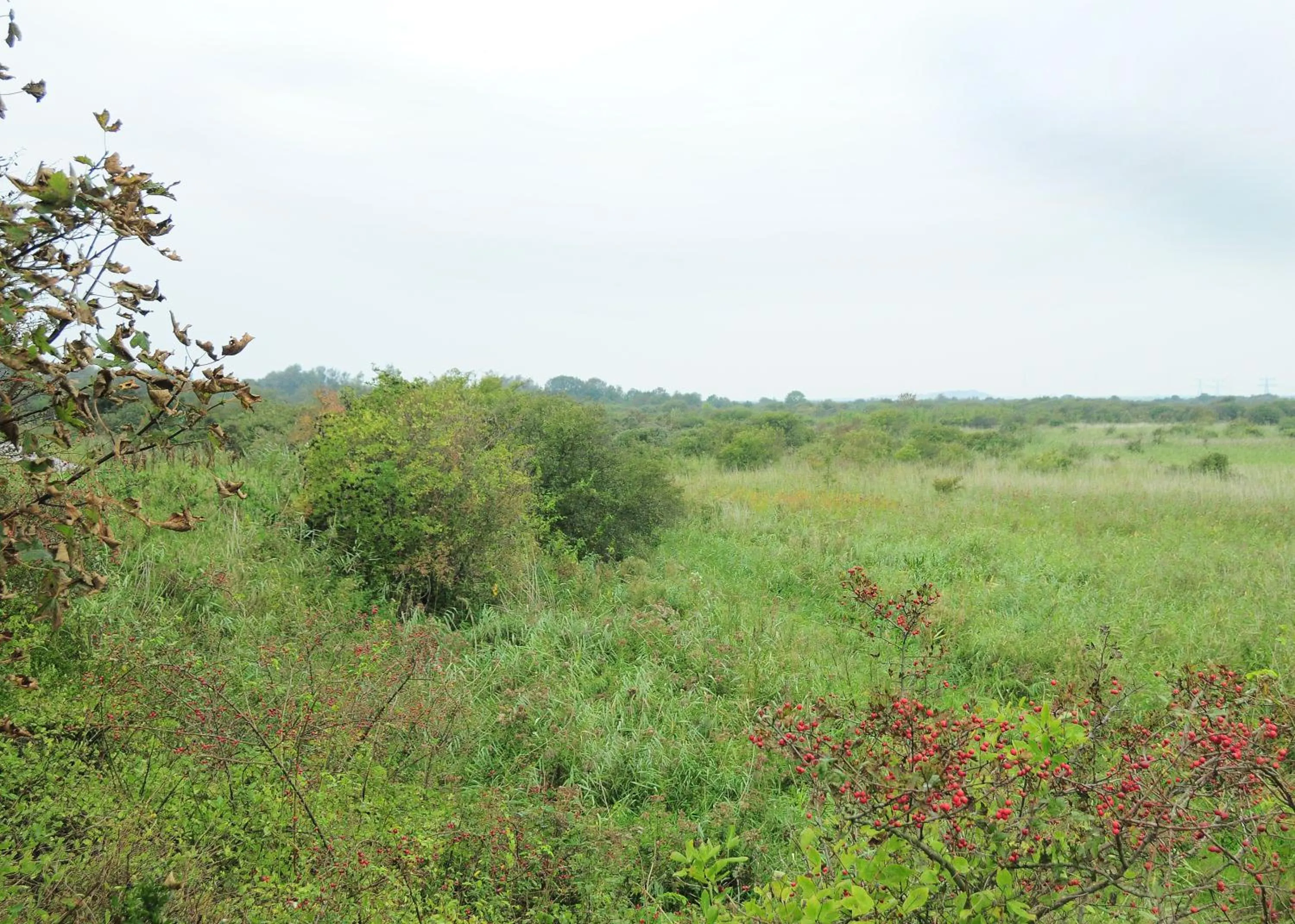 Tennis court in ´t Wapen van Marion
