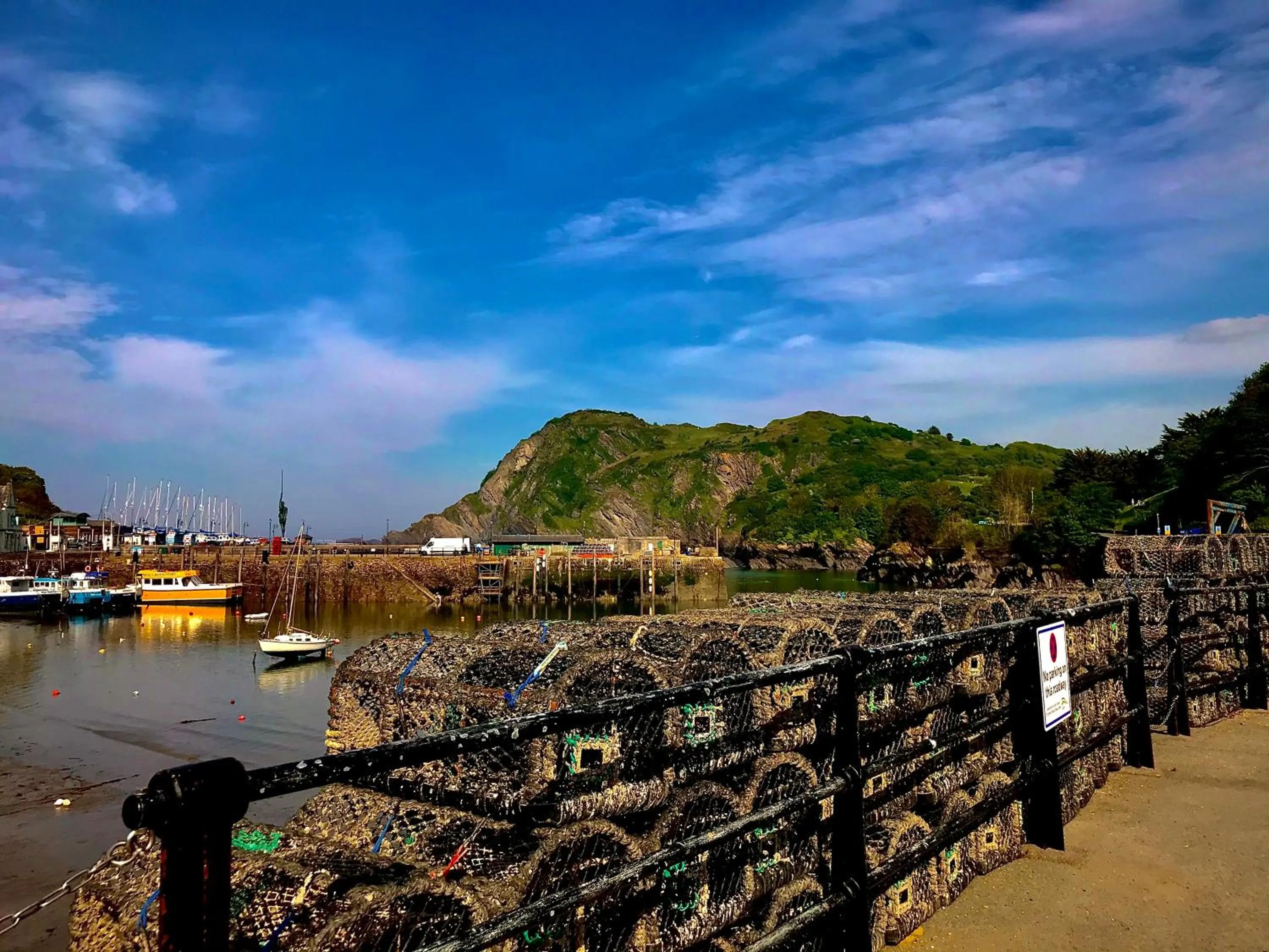 Natural landscape in Palm Court B&B