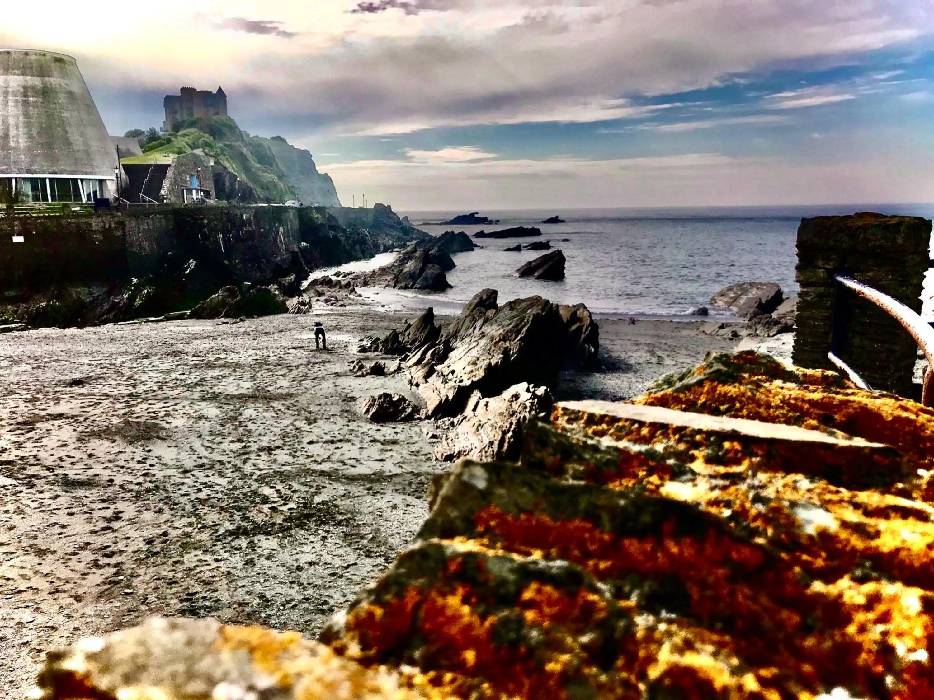 Natural landscape in Palm Court B&B