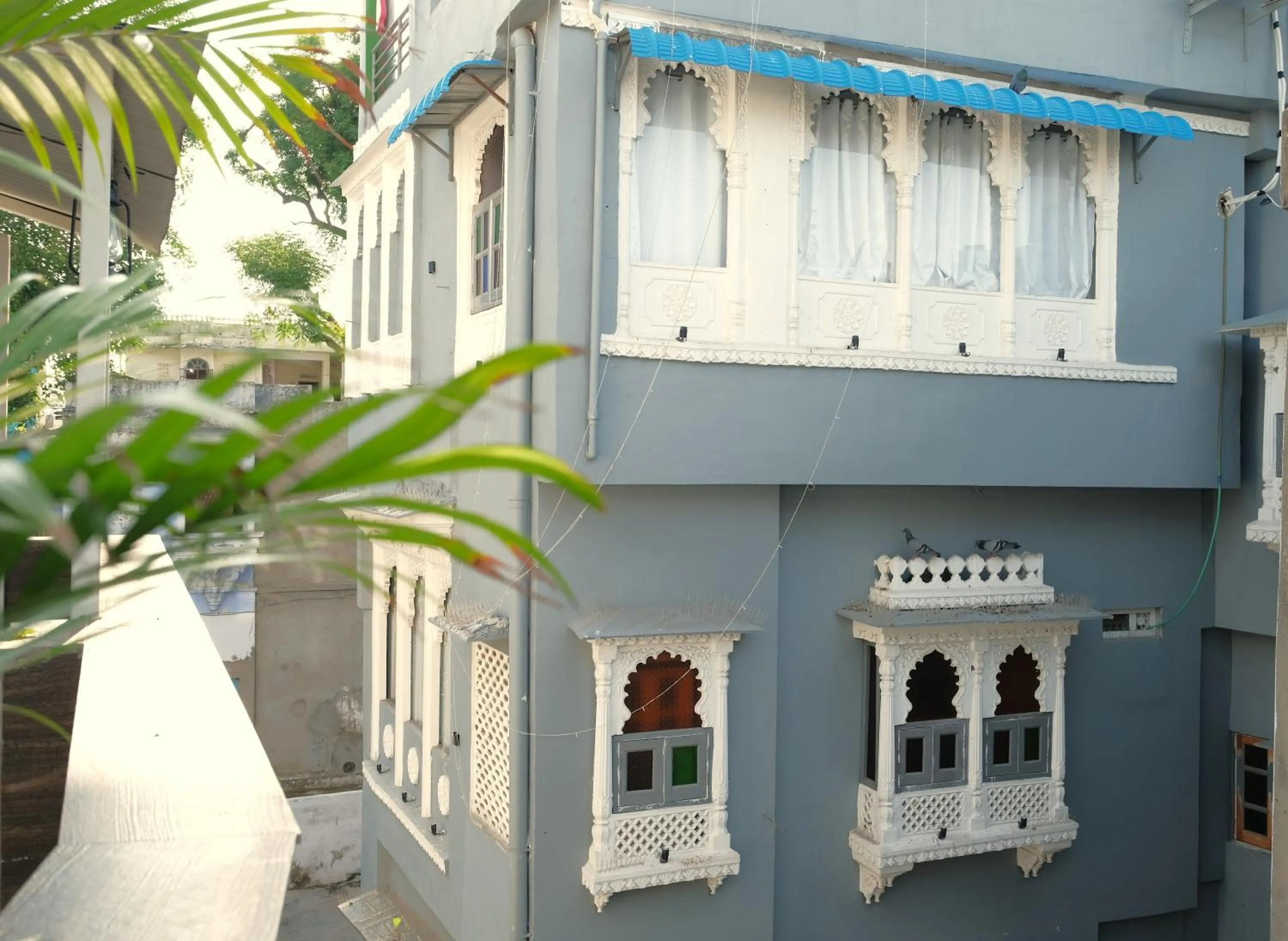 Facade/entrance in 3 Raahi Udaipur