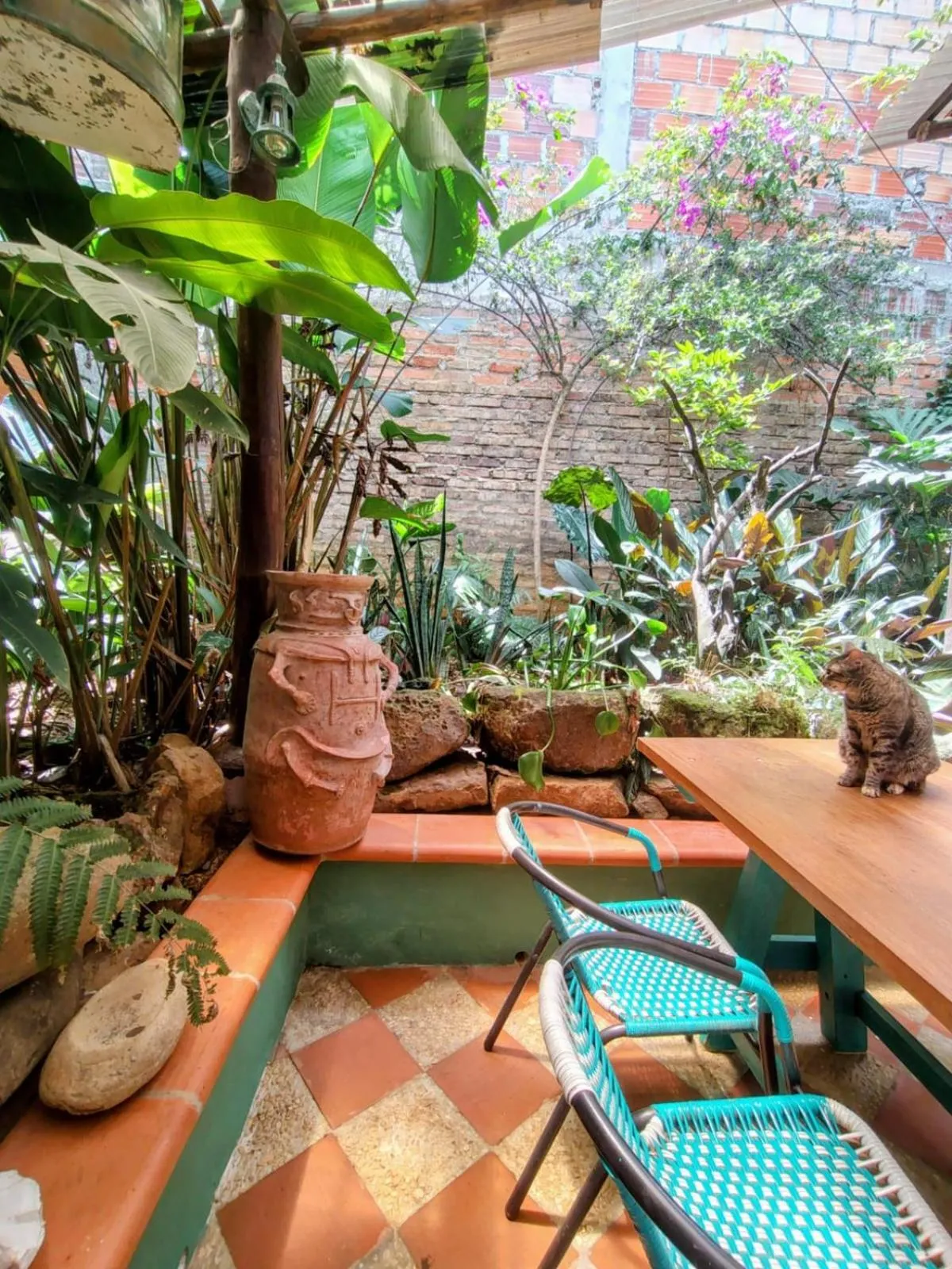 Patio in Casa Silva - Hotel Cafe