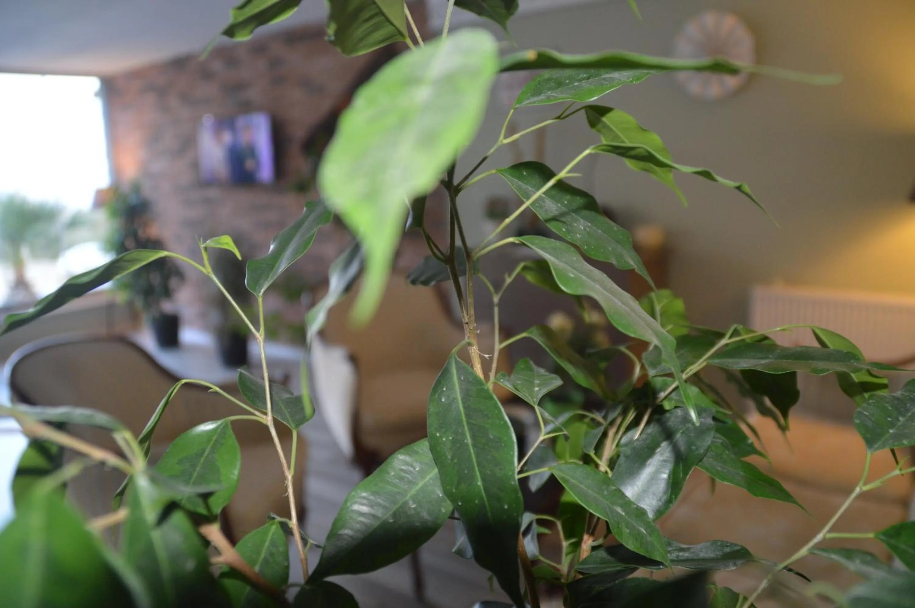 Decorative detail in Hotel Hugo