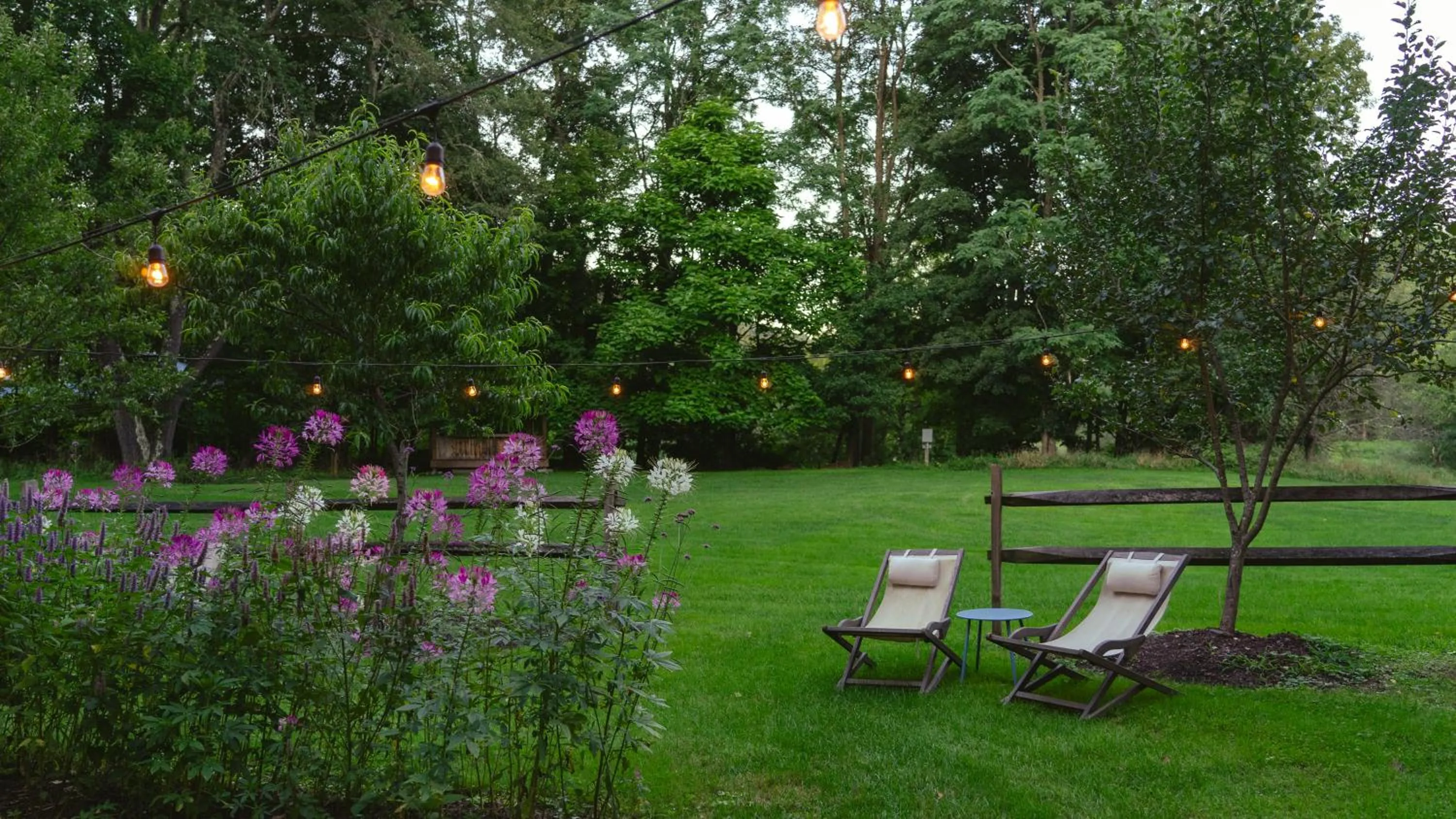 Garden in The North Branch Inn