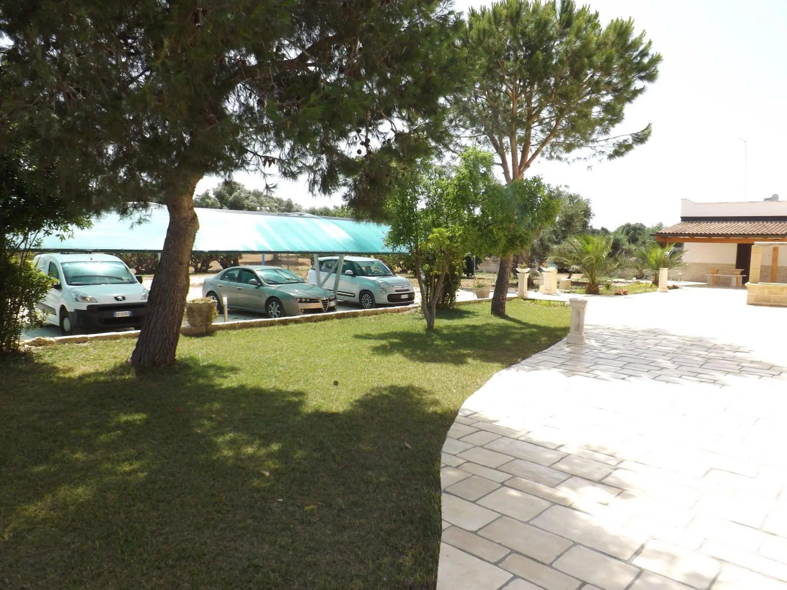 Garden in Il mondo dei sogni