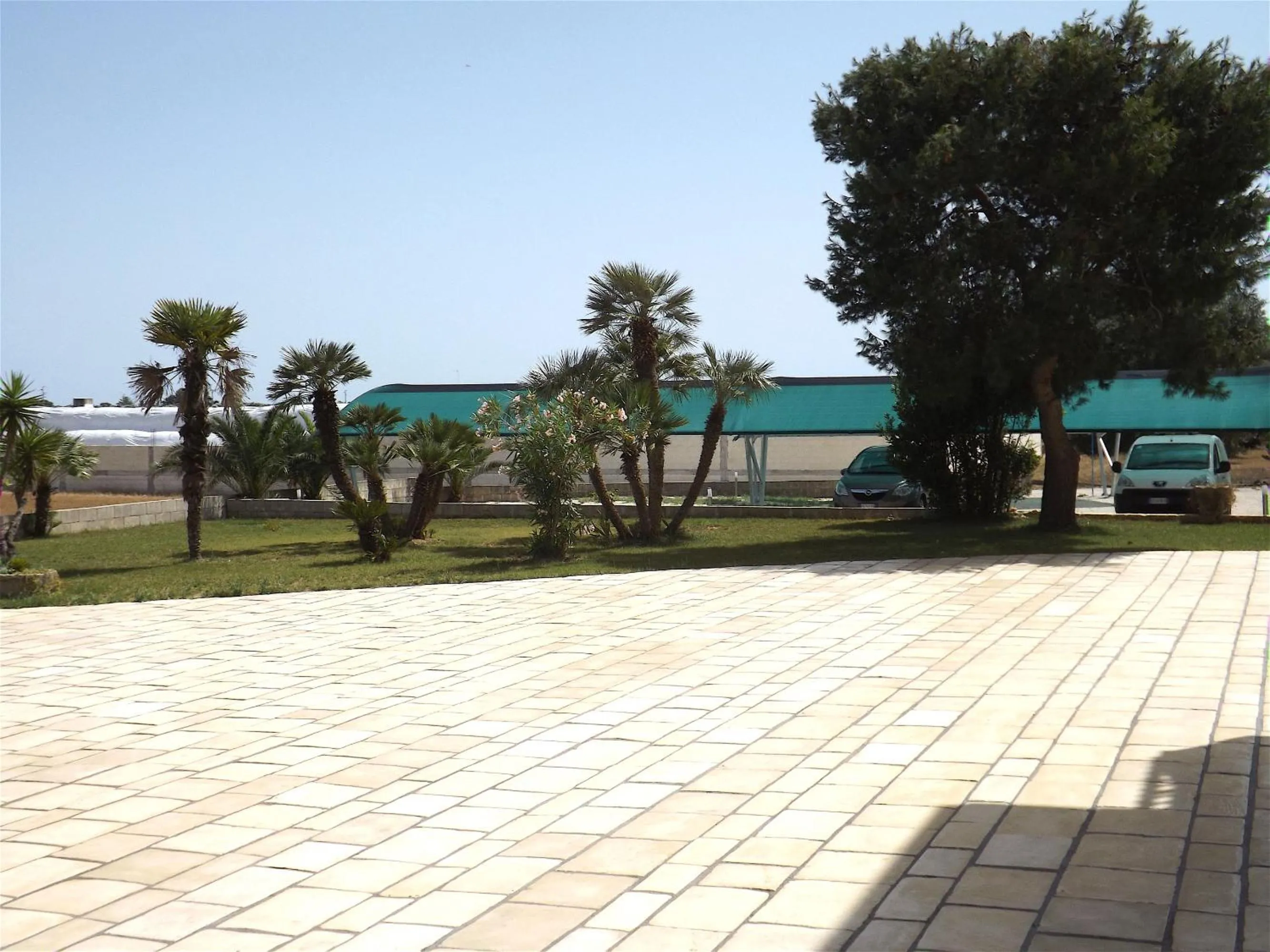 Garden in Il mondo dei sogni