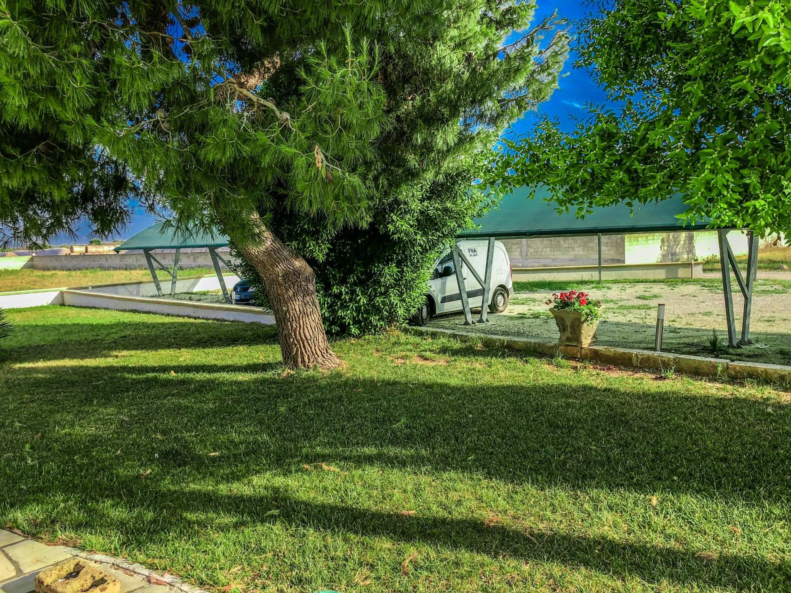 Garden in Il mondo dei sogni