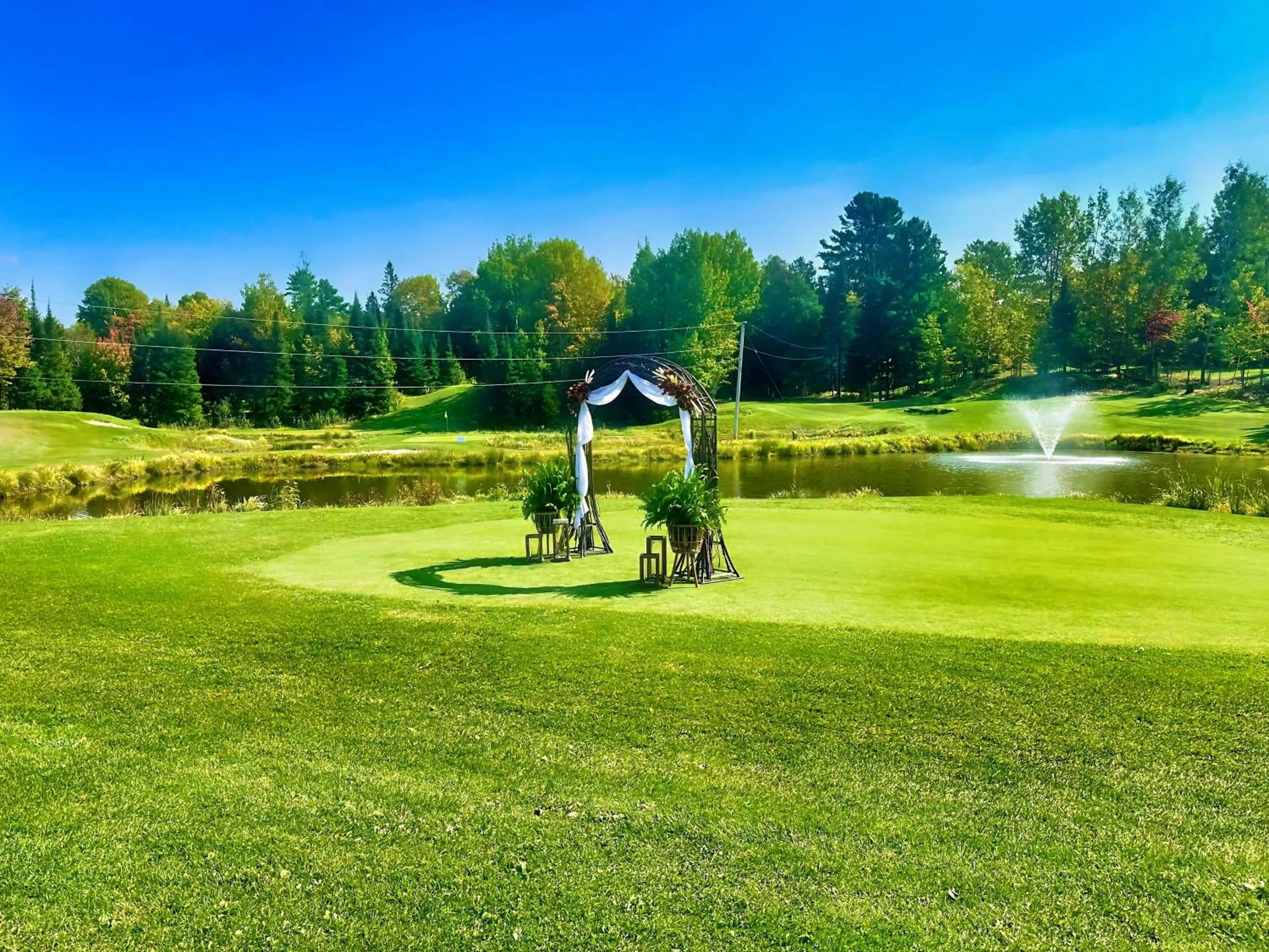 wedding in Terrace Suites