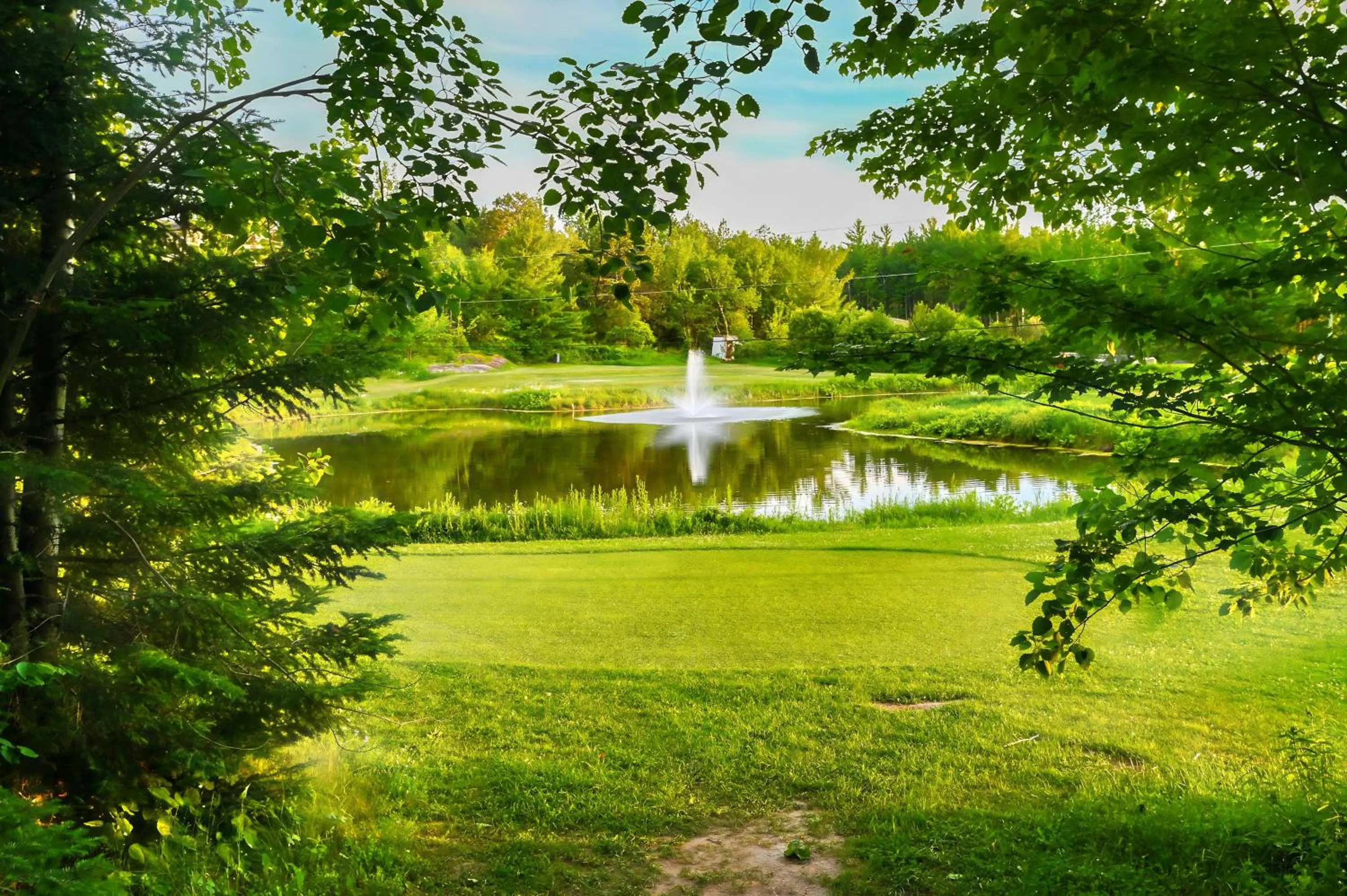 Natural landscape in Terrace Suites