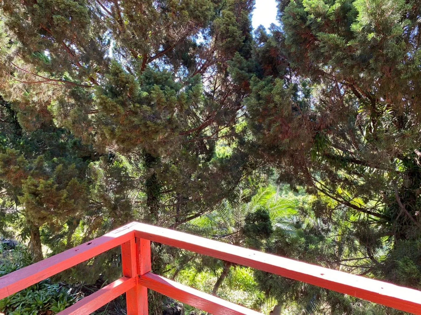 View (from property/room) in Phuphamok Valley Resort