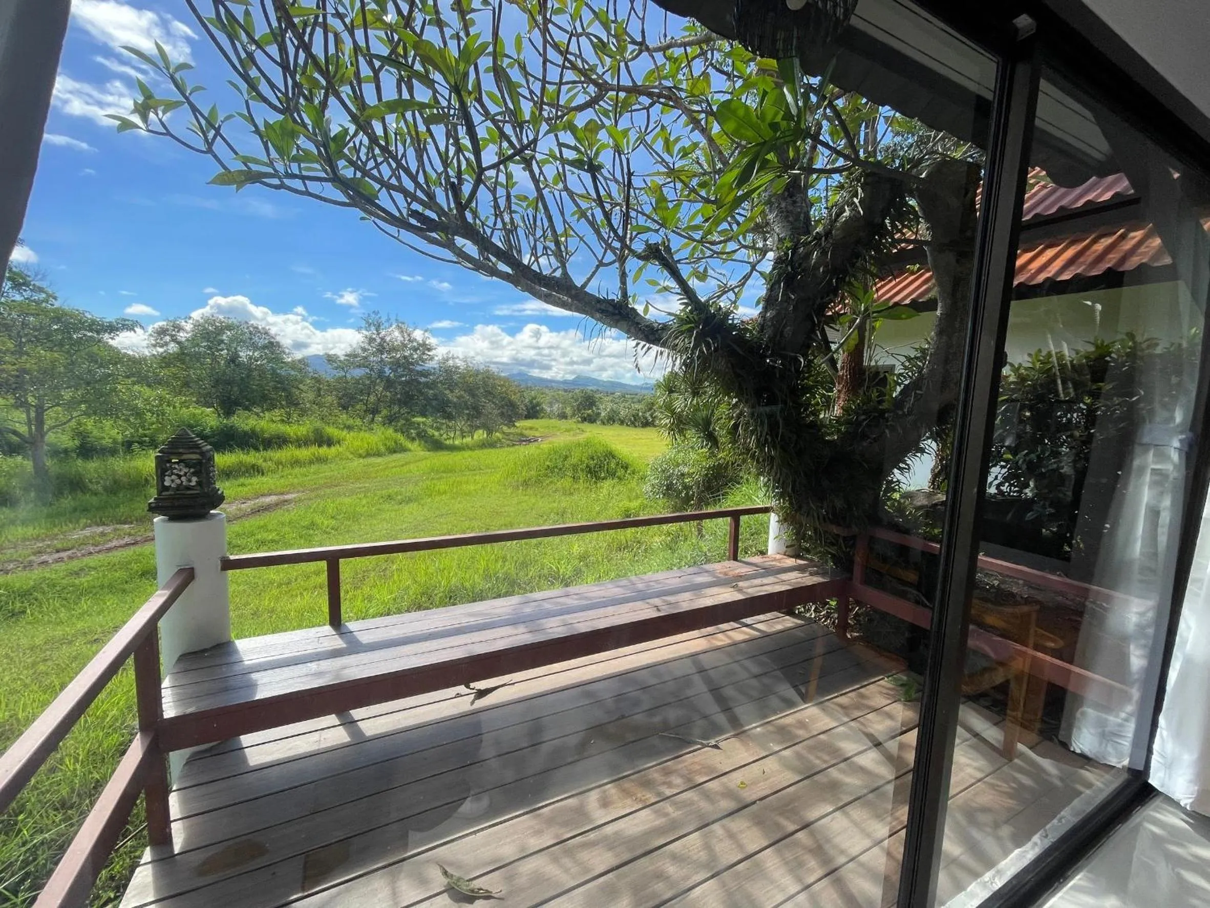 View (from property/room) in Phuphamok Valley Resort
