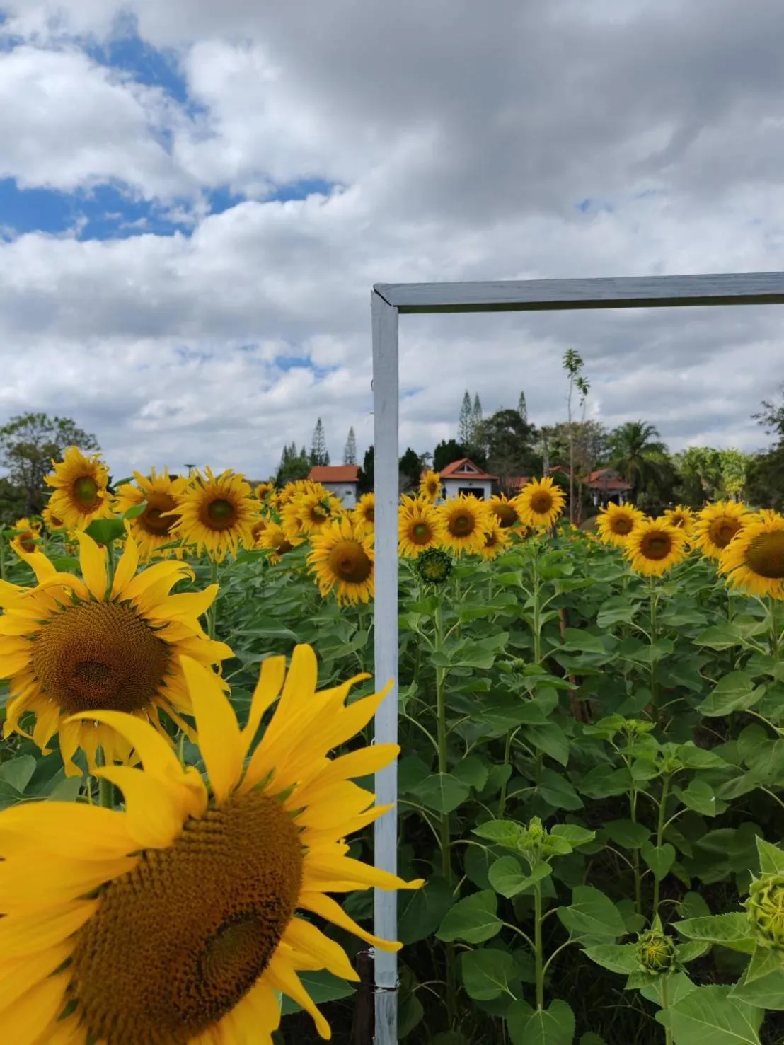 Phuphamok Valley Resort