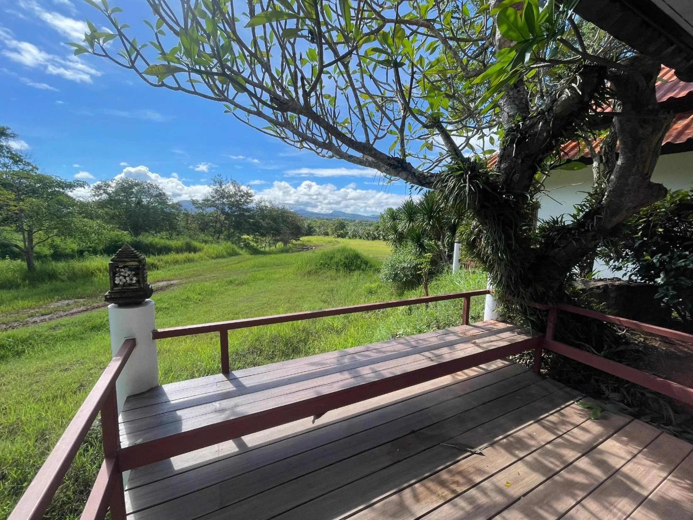 View (from property/room) in Phuphamok Valley Resort