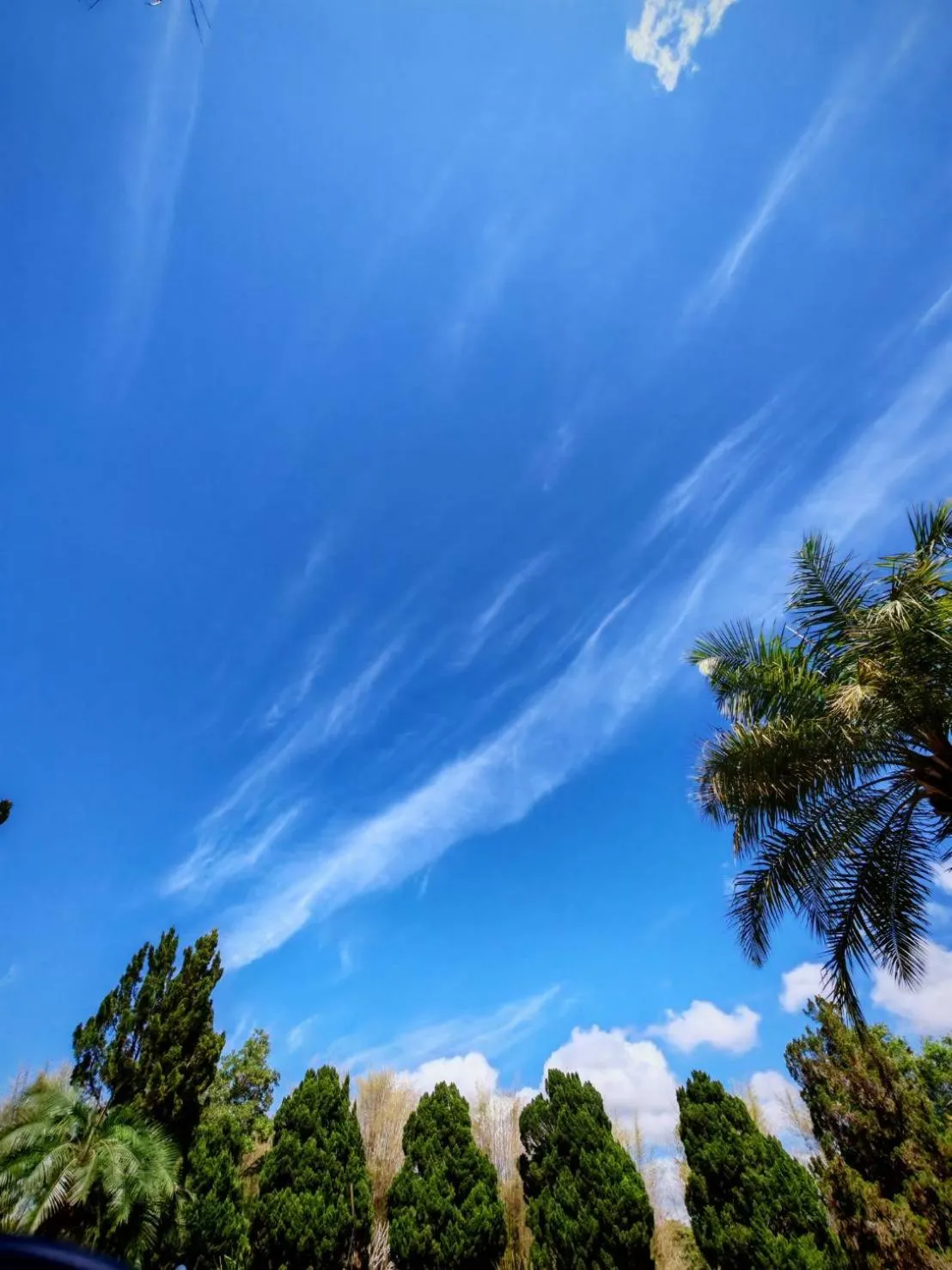 Natural landscape in Phuphamok Valley Resort