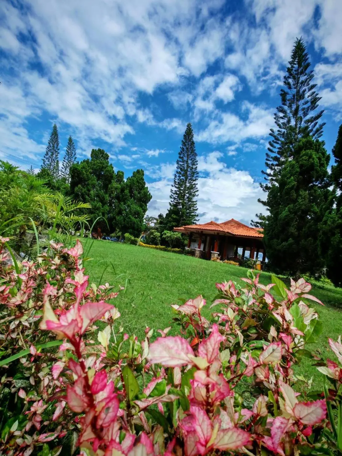 Property building in Phuphamok Valley Resort