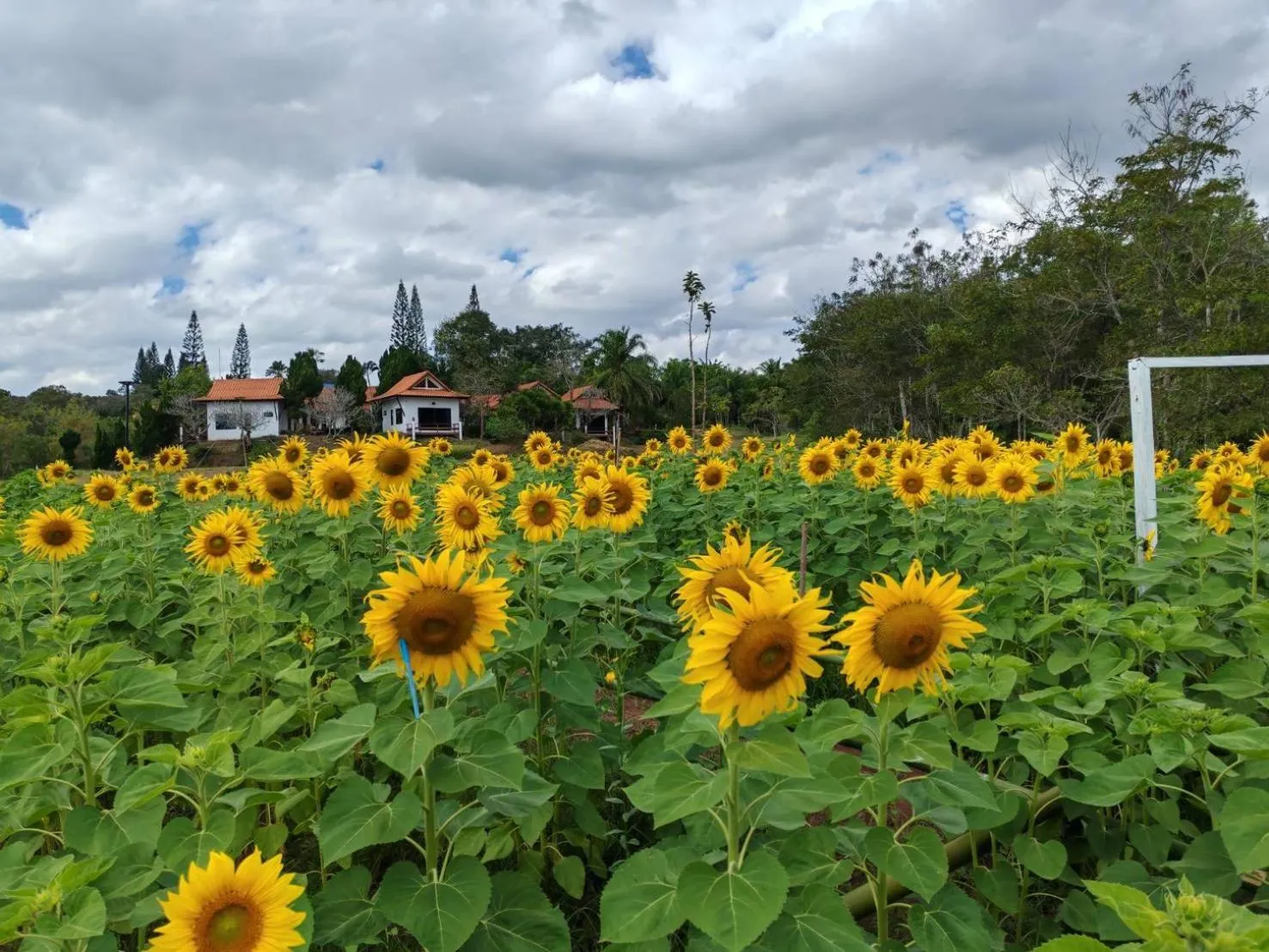 Phuphamok Valley Resort