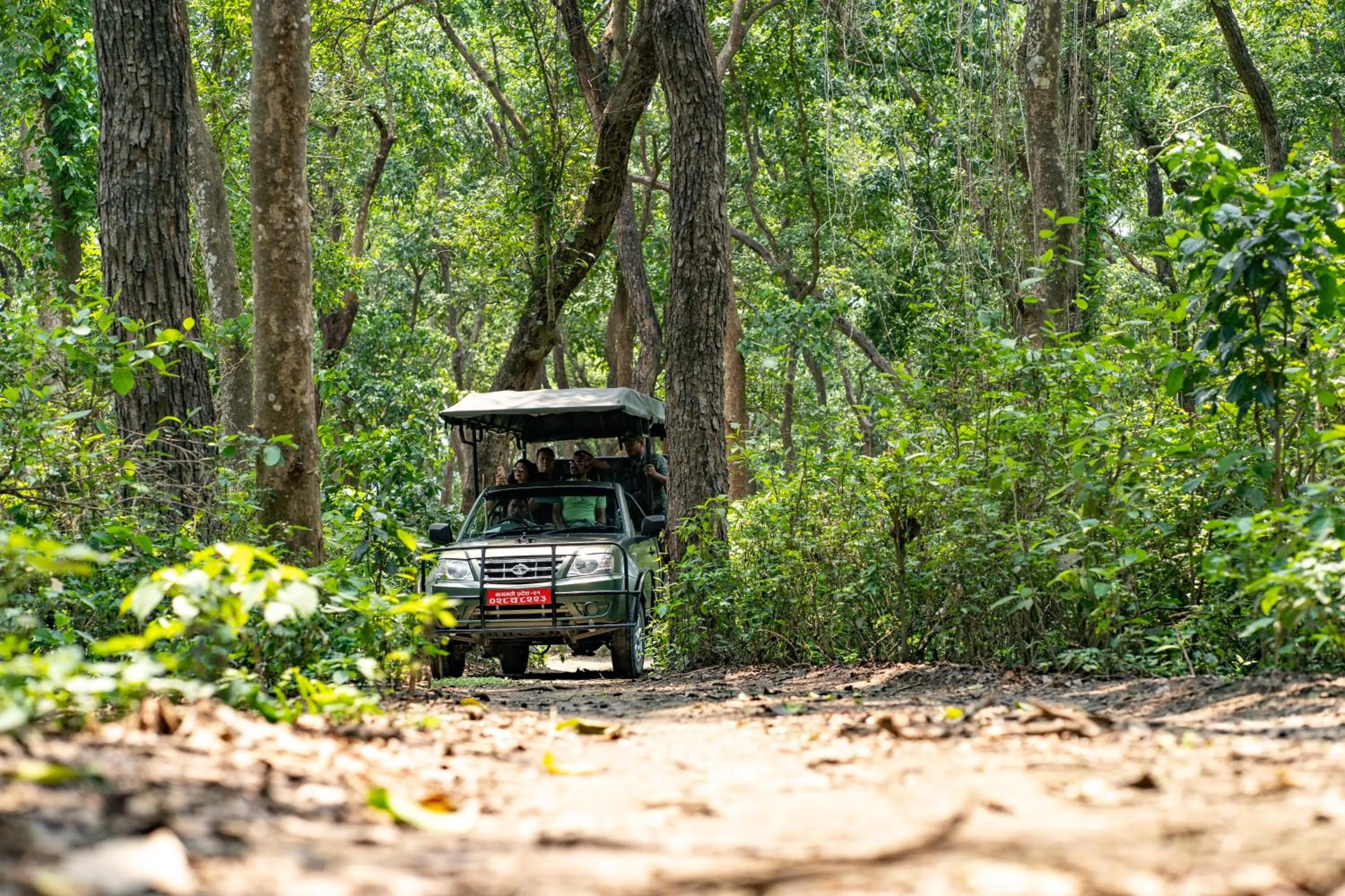 Spring in River Bank Jungle Resort, Chitwan
