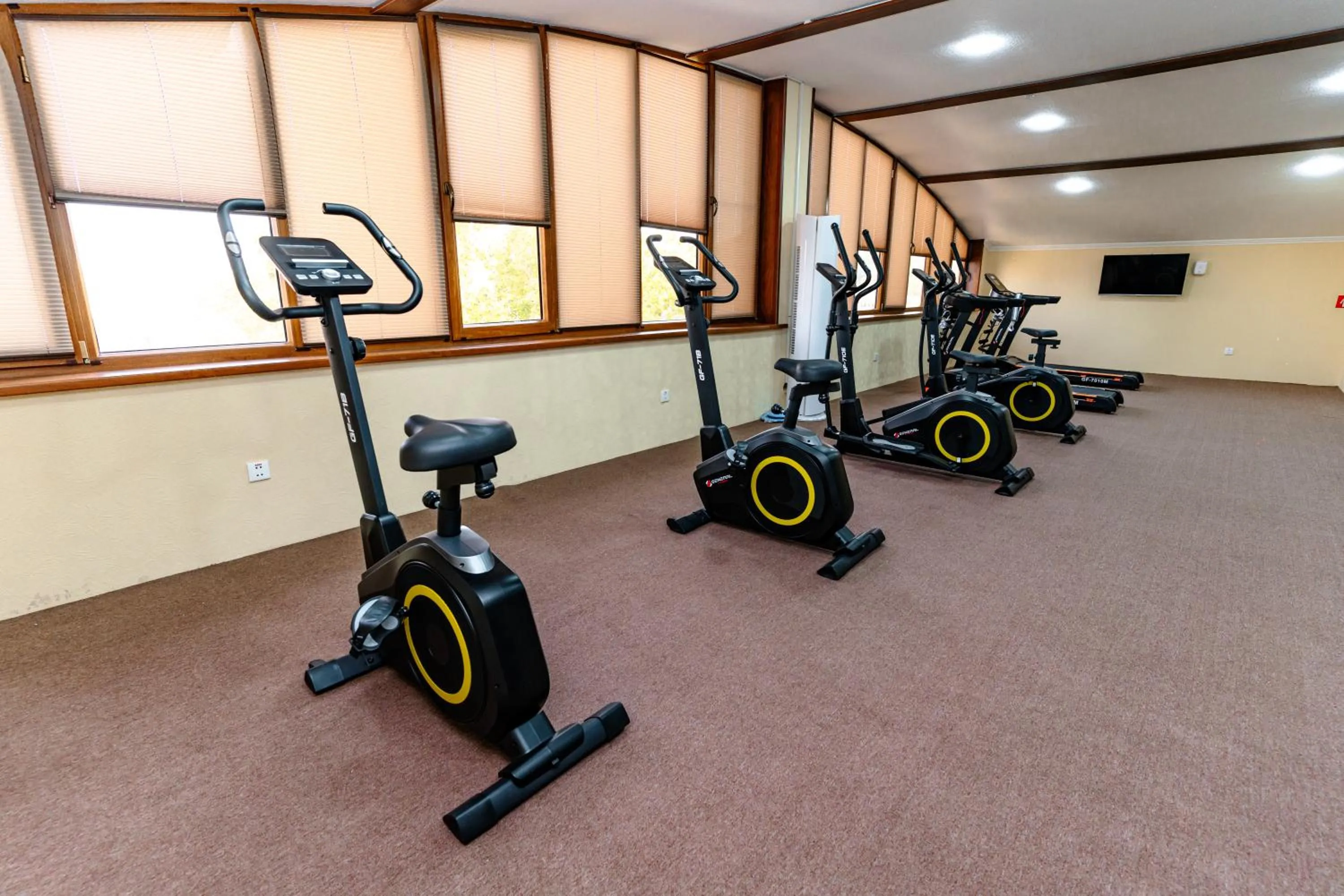 Fitness centre/facilities in Bagizagan Hotel