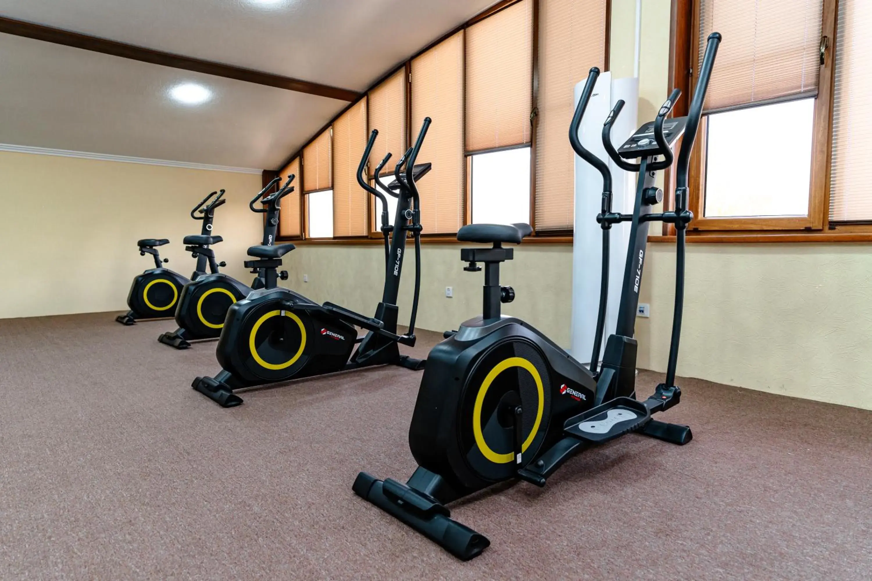 Fitness centre/facilities in Bagizagan Hotel Fitness centre/facilities in Bagizagan Hotel