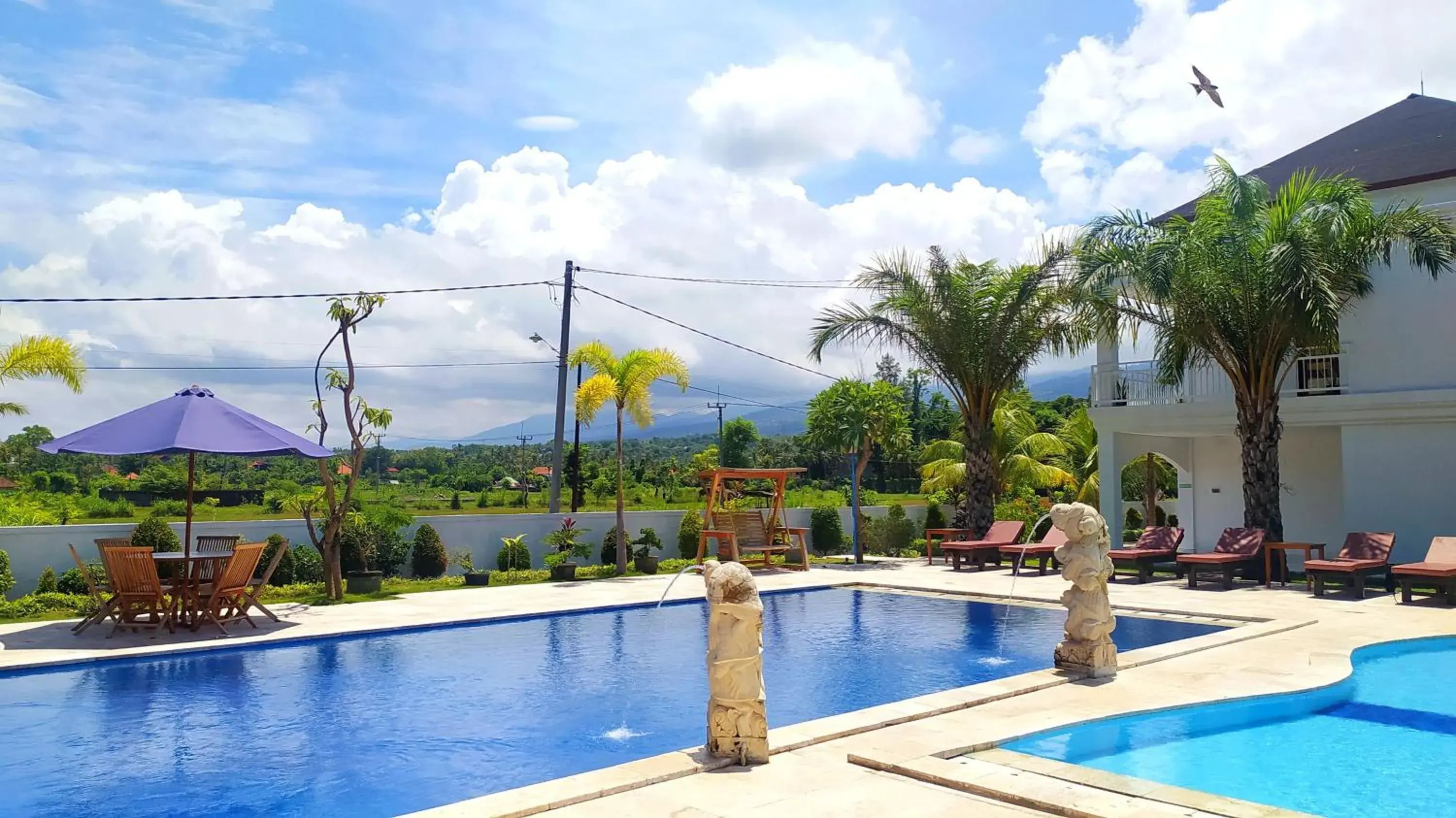 Swimming pool in Puri Lovina Swimming pool in Puri Lovina