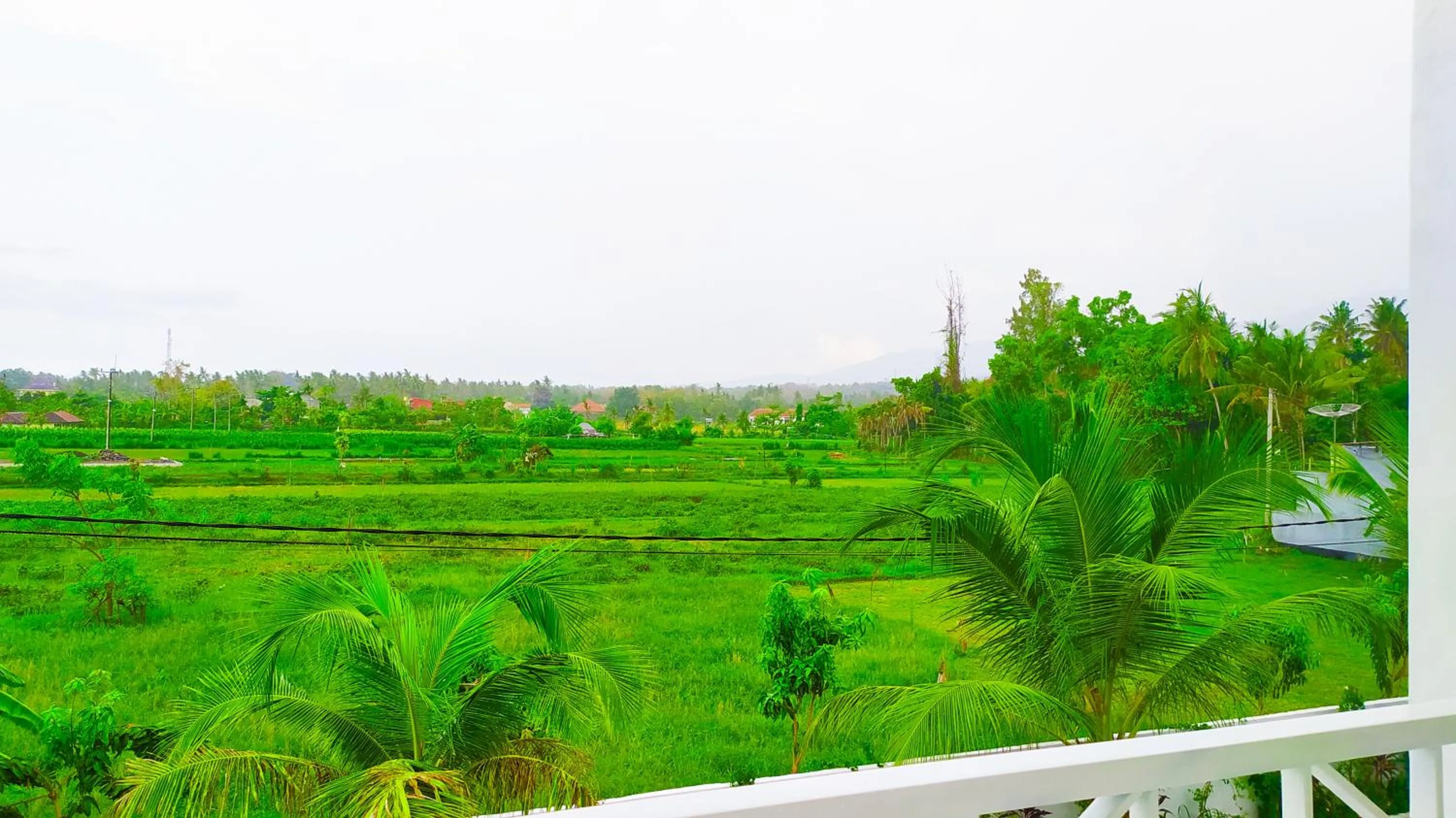 Spring in Puri Lovina