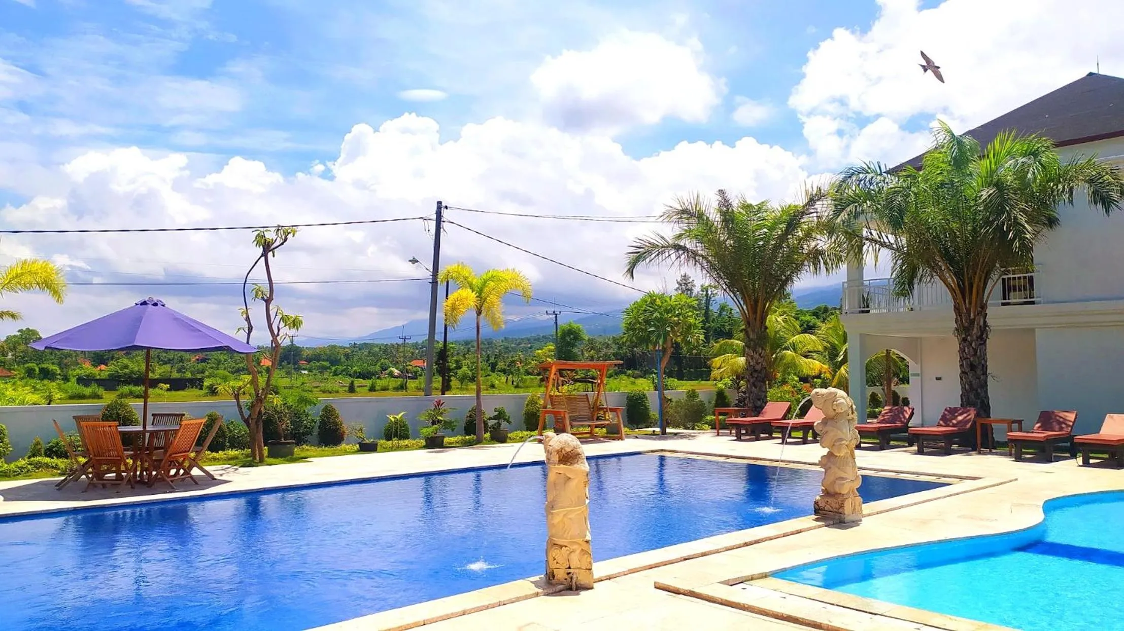 Swimming pool in Puri Lovina