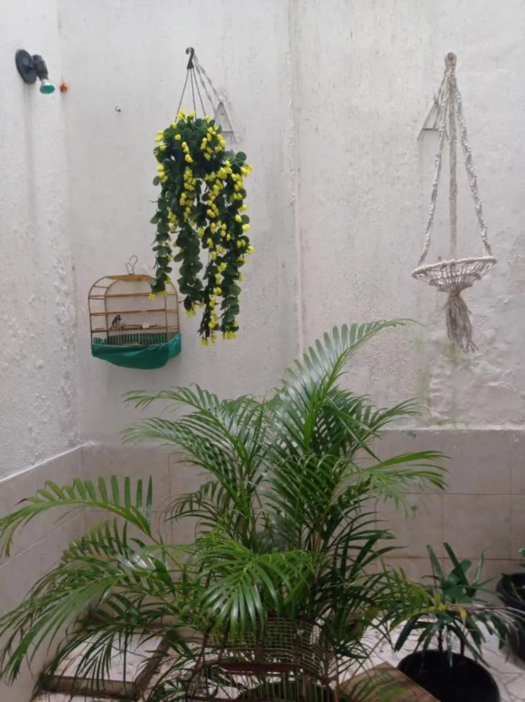 Brazil Inn Hostel