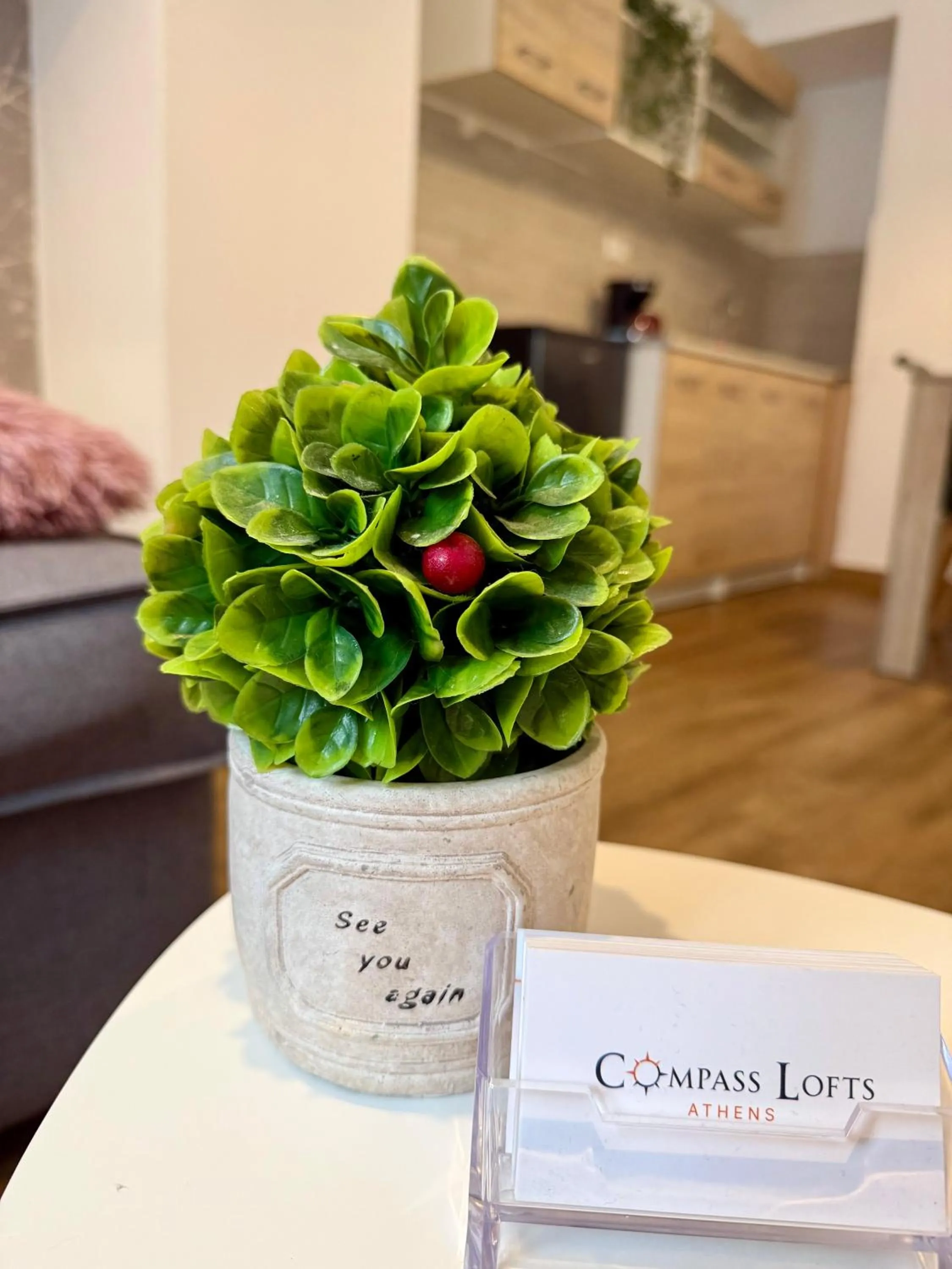 Living room in Compass Lofts Athens