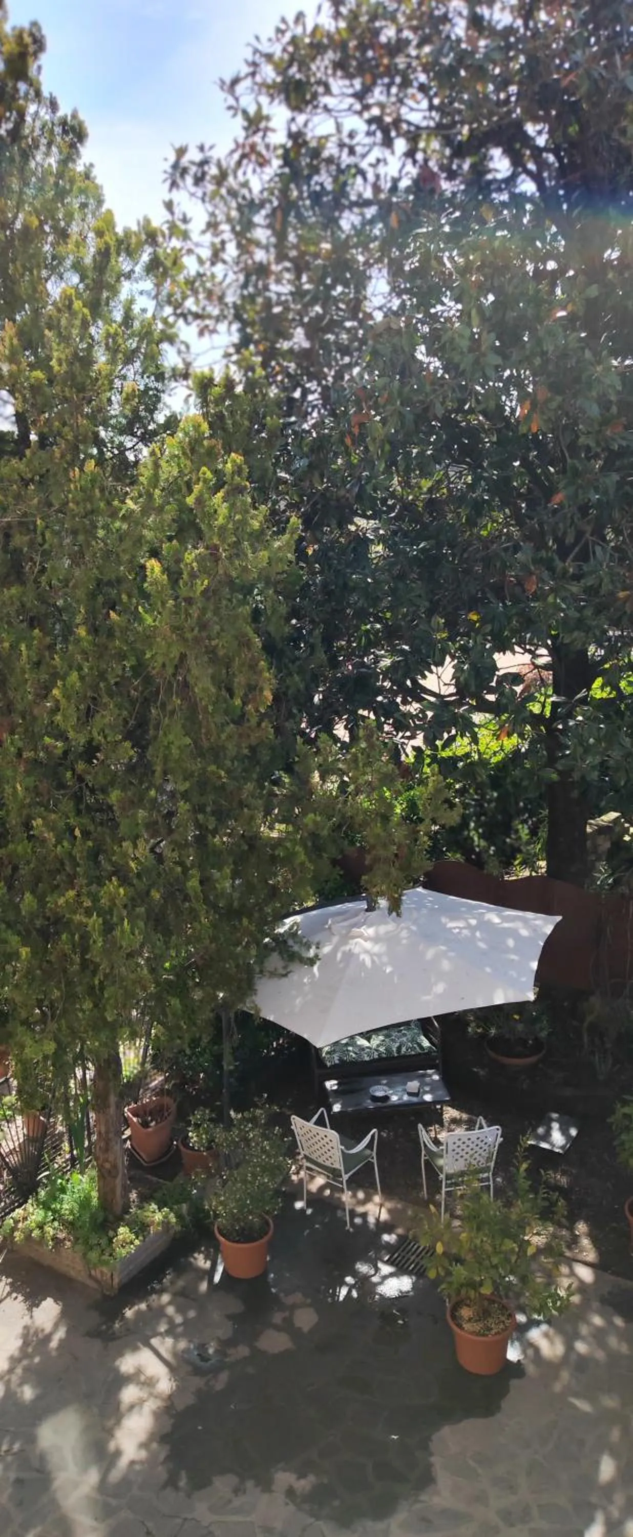 Garden in B&B LaMaGia di Corte Moronati