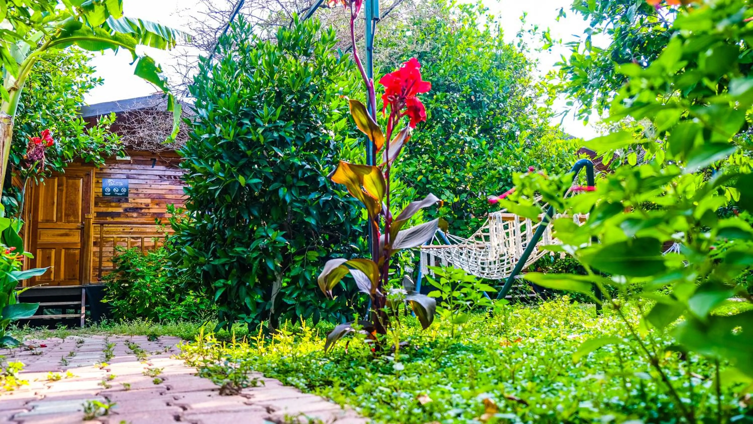 Bungalow in Lemon Garden Lodge