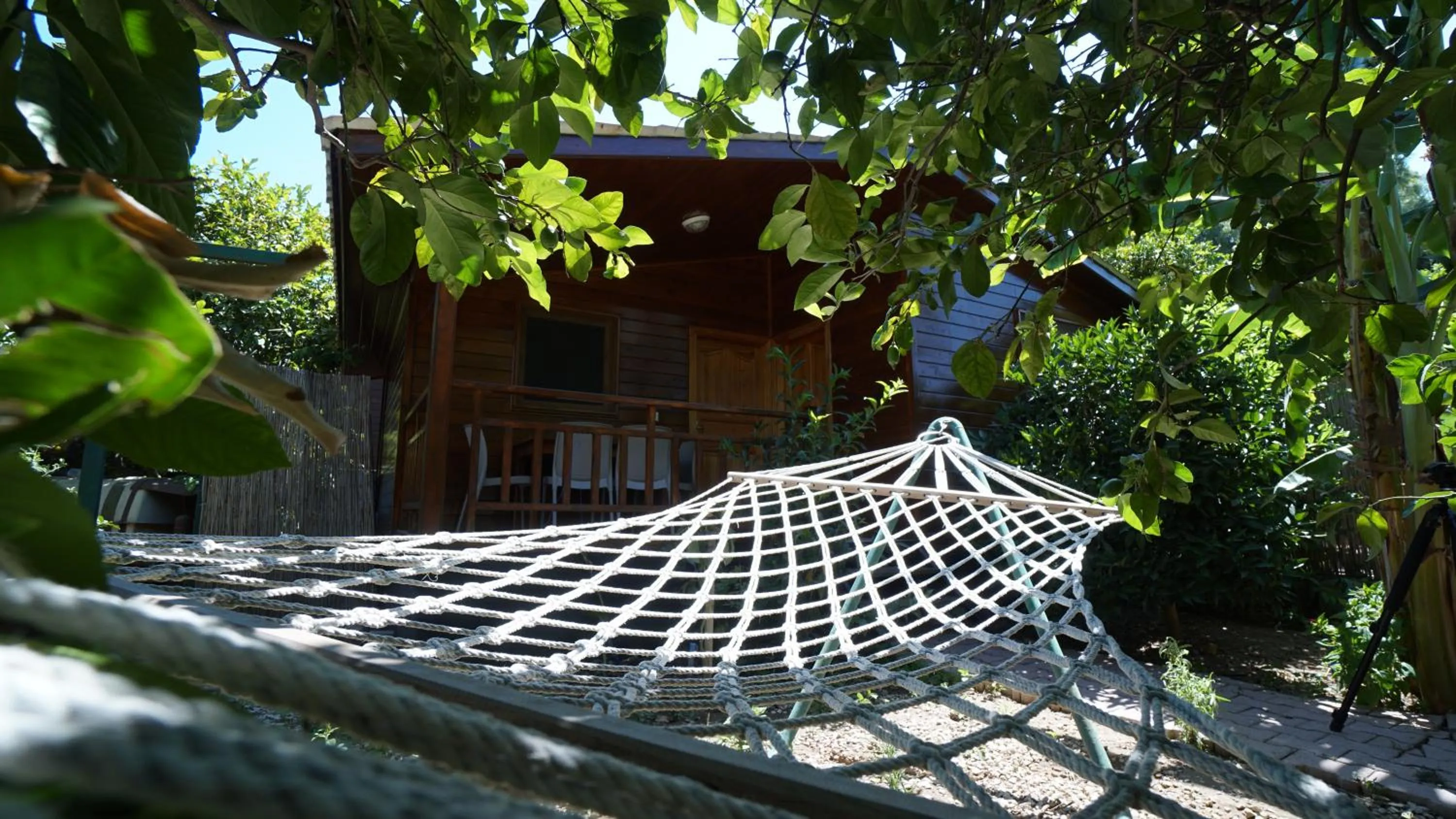 Garden in Lemon Garden Lodge