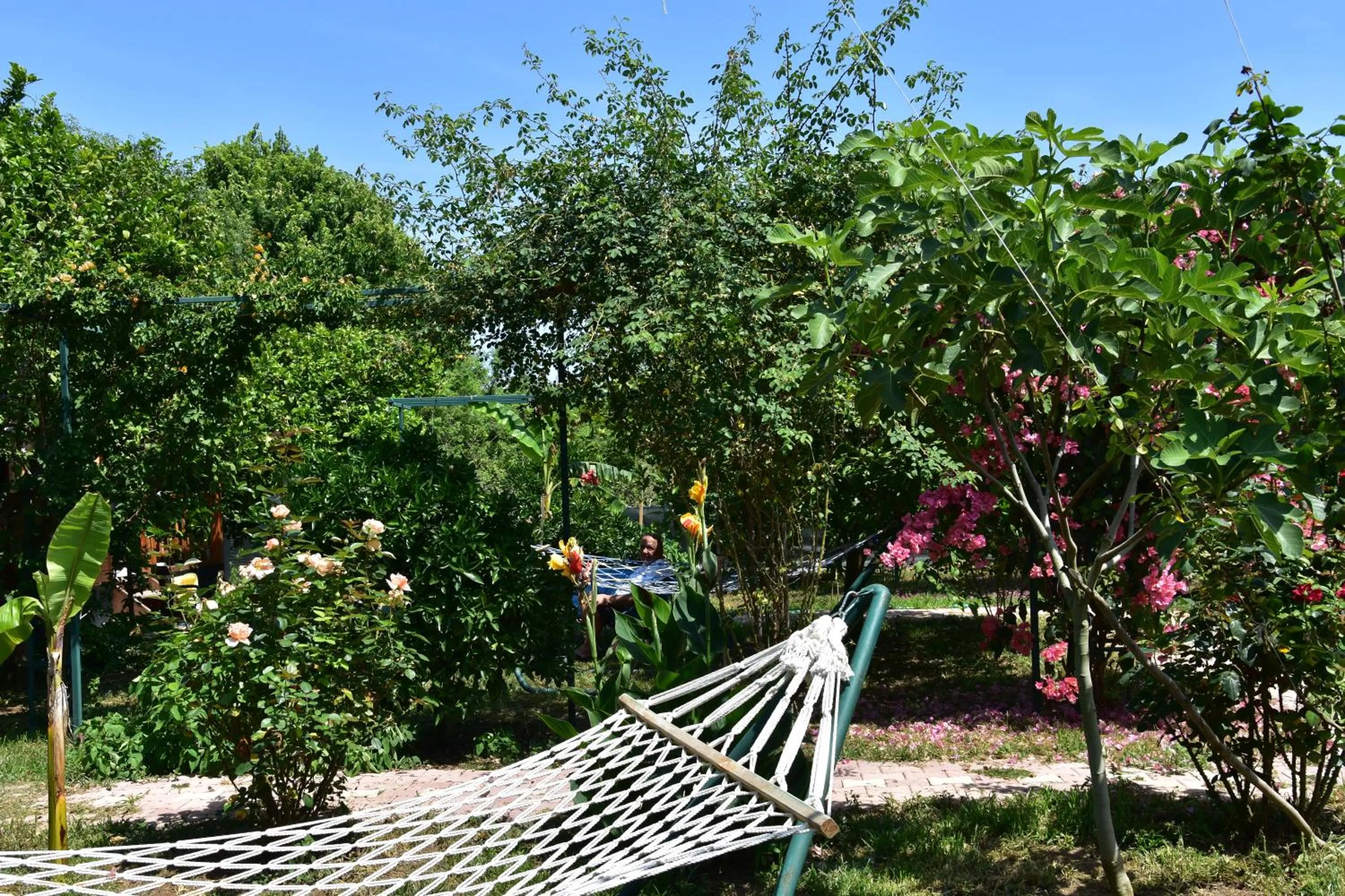 Garden in Lemon Garden Lodge