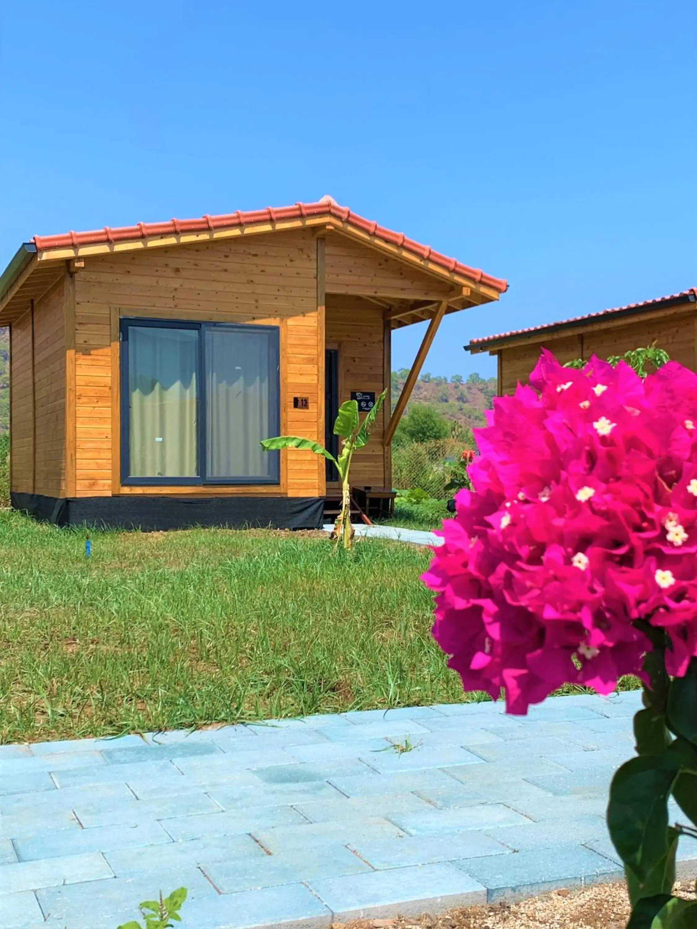 Deluxe Bungalow with Garden View in Lemon Garden Lodge Deluxe Bungalow with Garden View in Lemon Garden Lodge