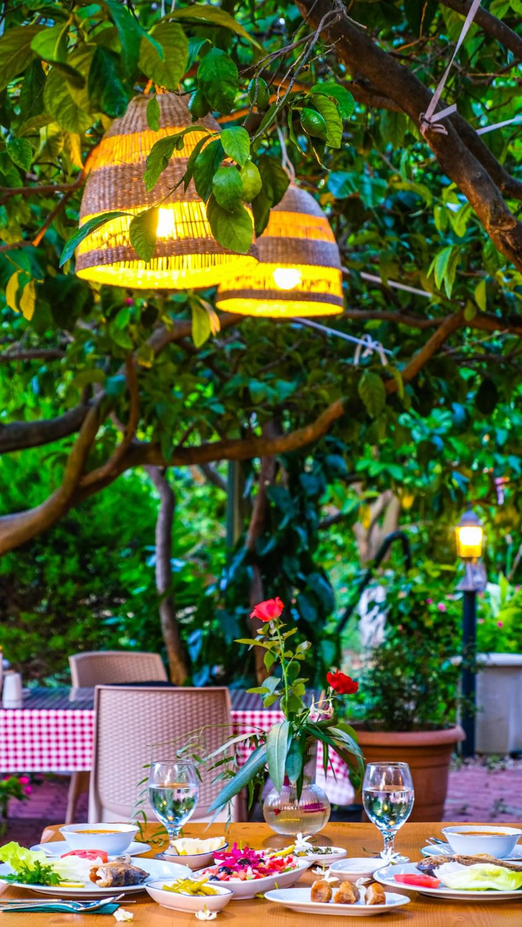 Restaurant/places to eat in Lemon Garden Lodge