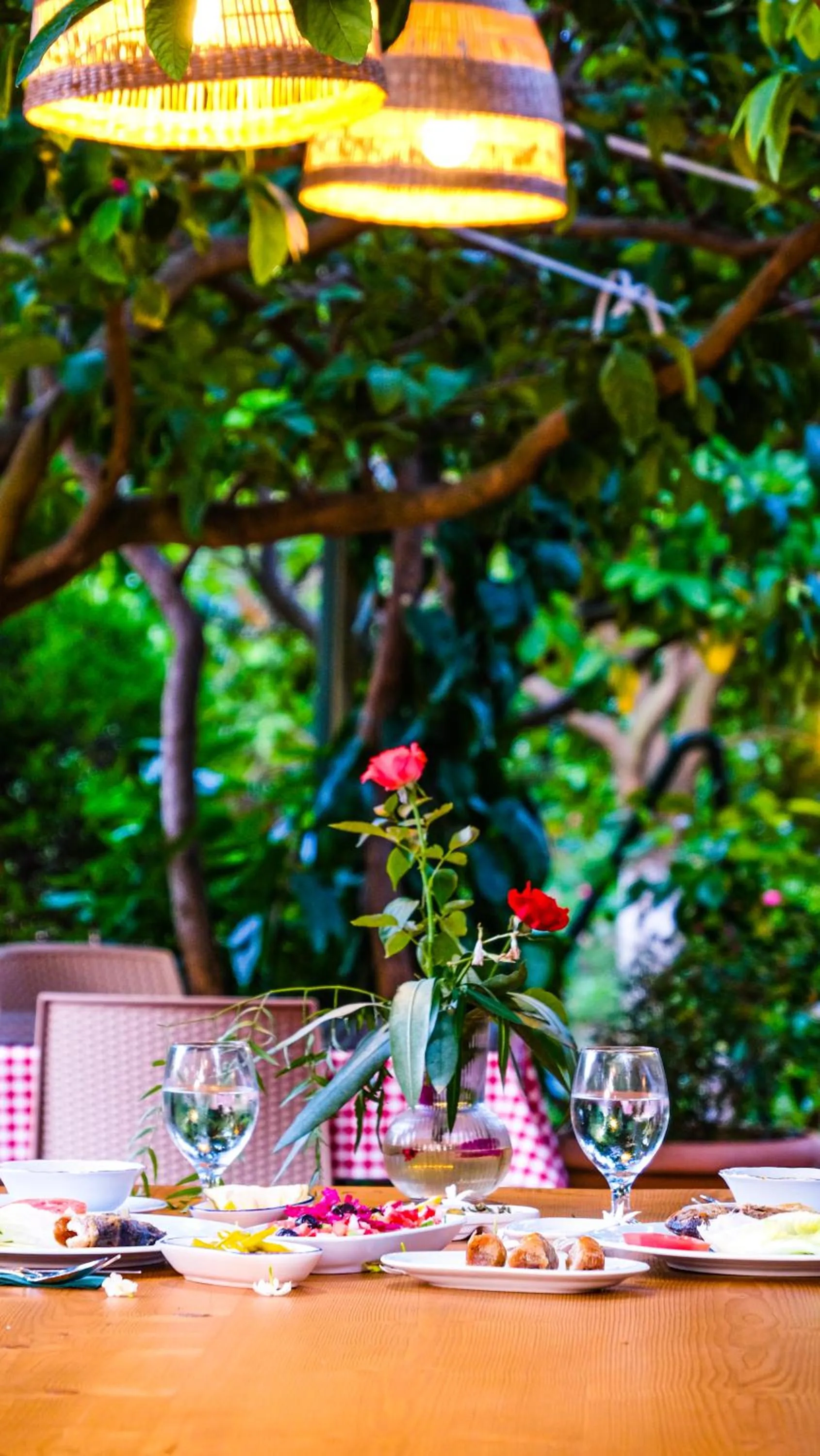 Restaurant/places to eat in Lemon Garden Lodge