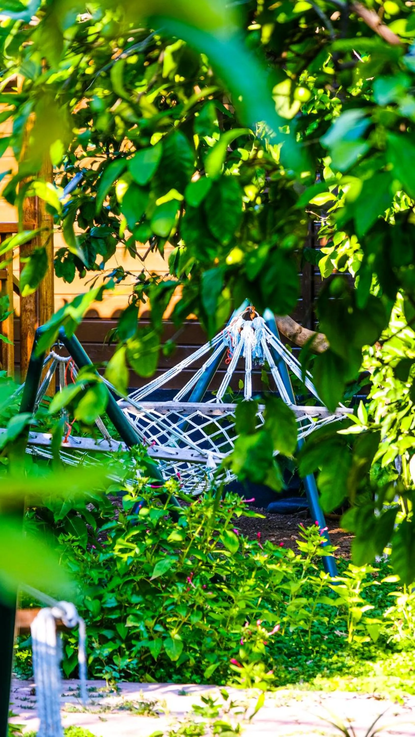 Garden in Lemon Garden Lodge