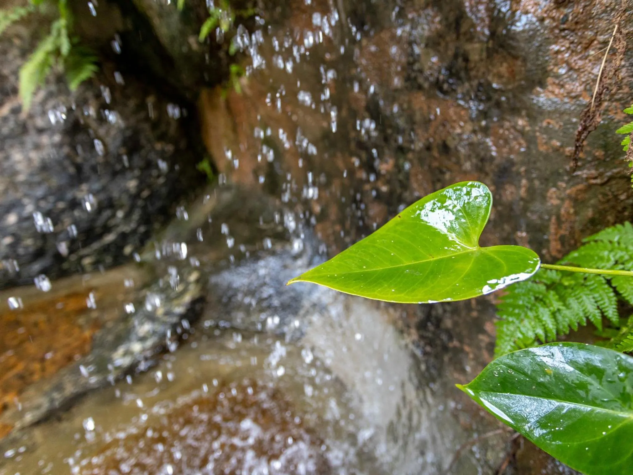 Natural landscape in Eco Baepi Residence