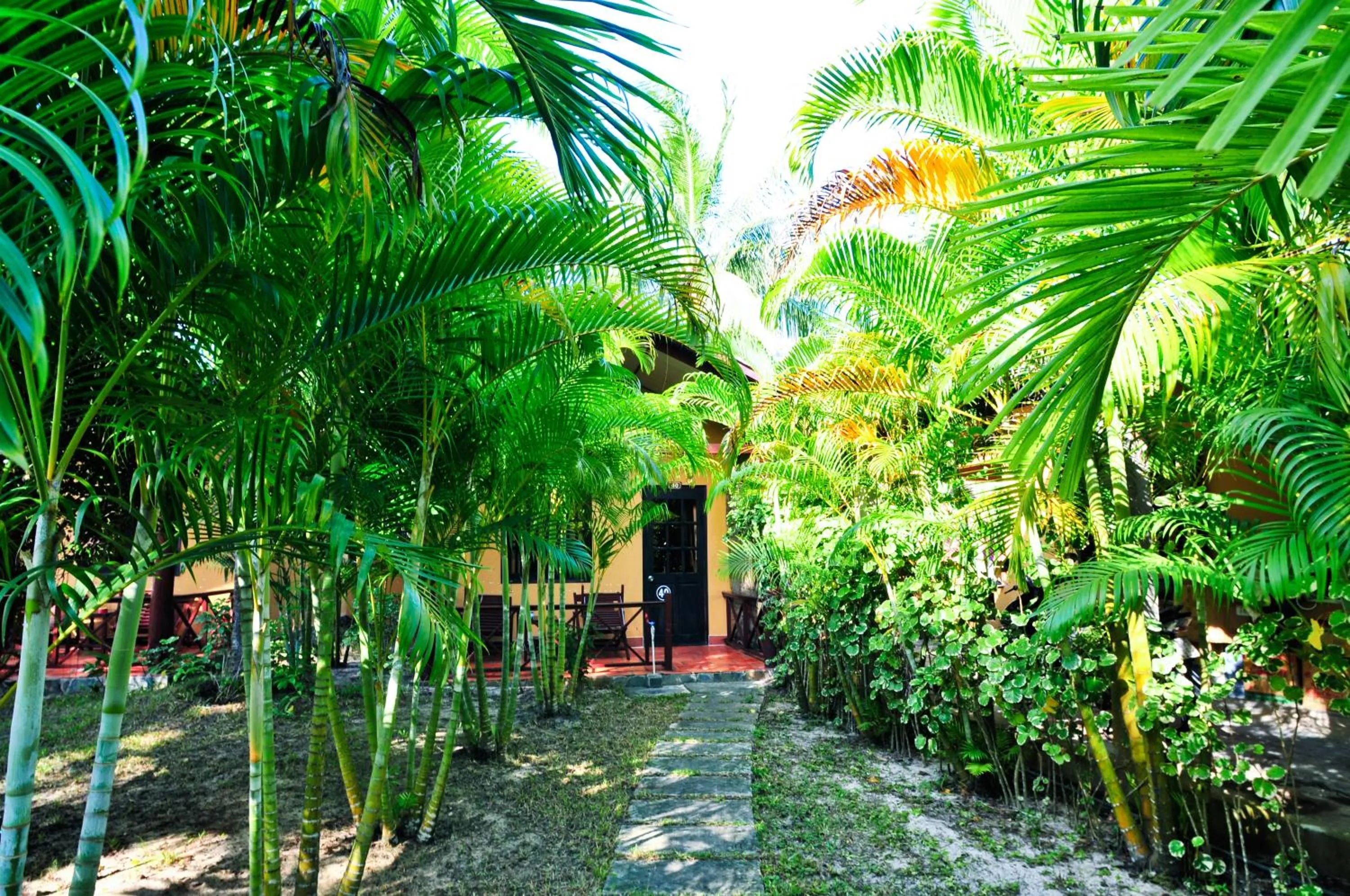 Garden in Sea Star Resort