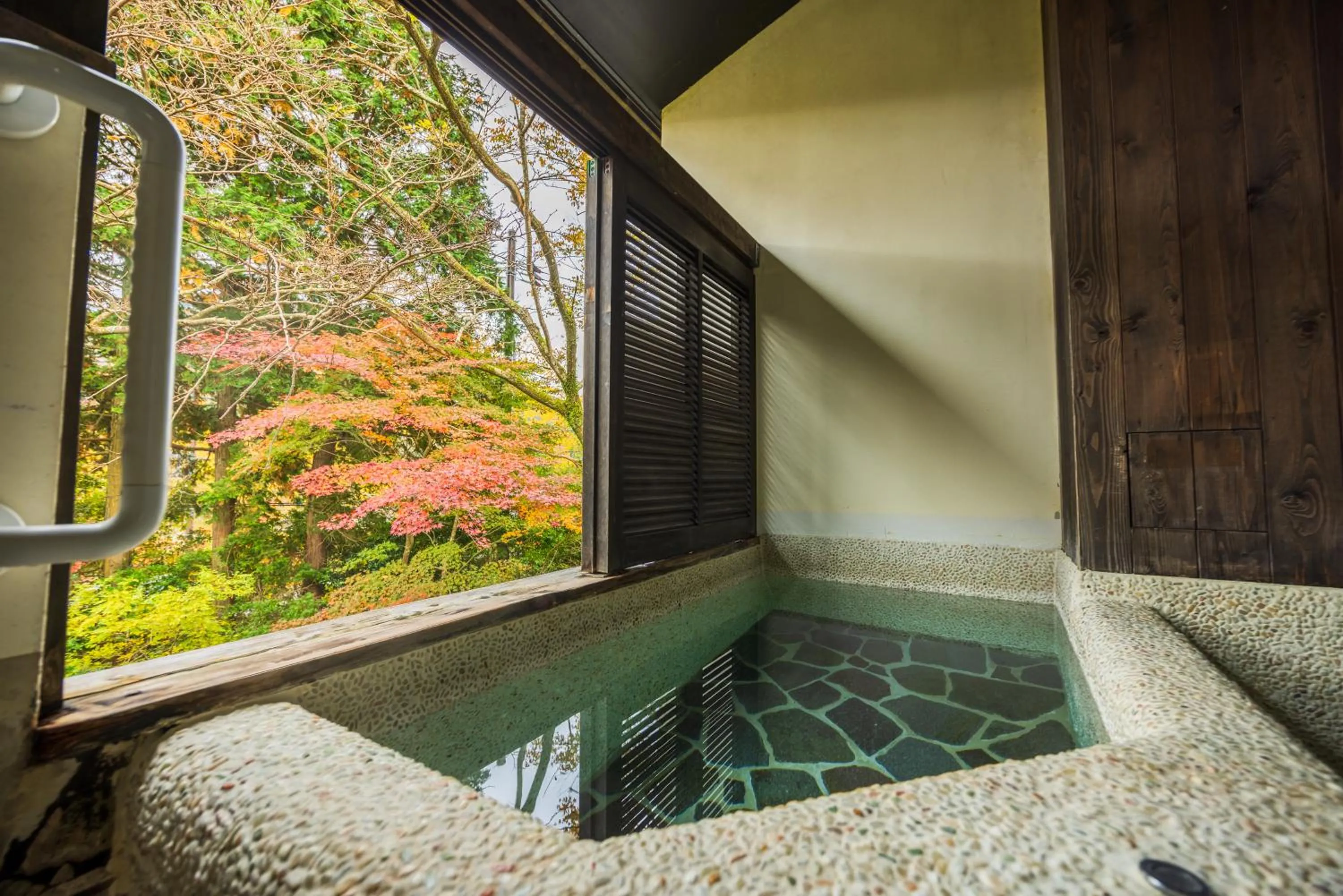 Open Air Bath in Sengokuhara Shinanoki Ichinoyu