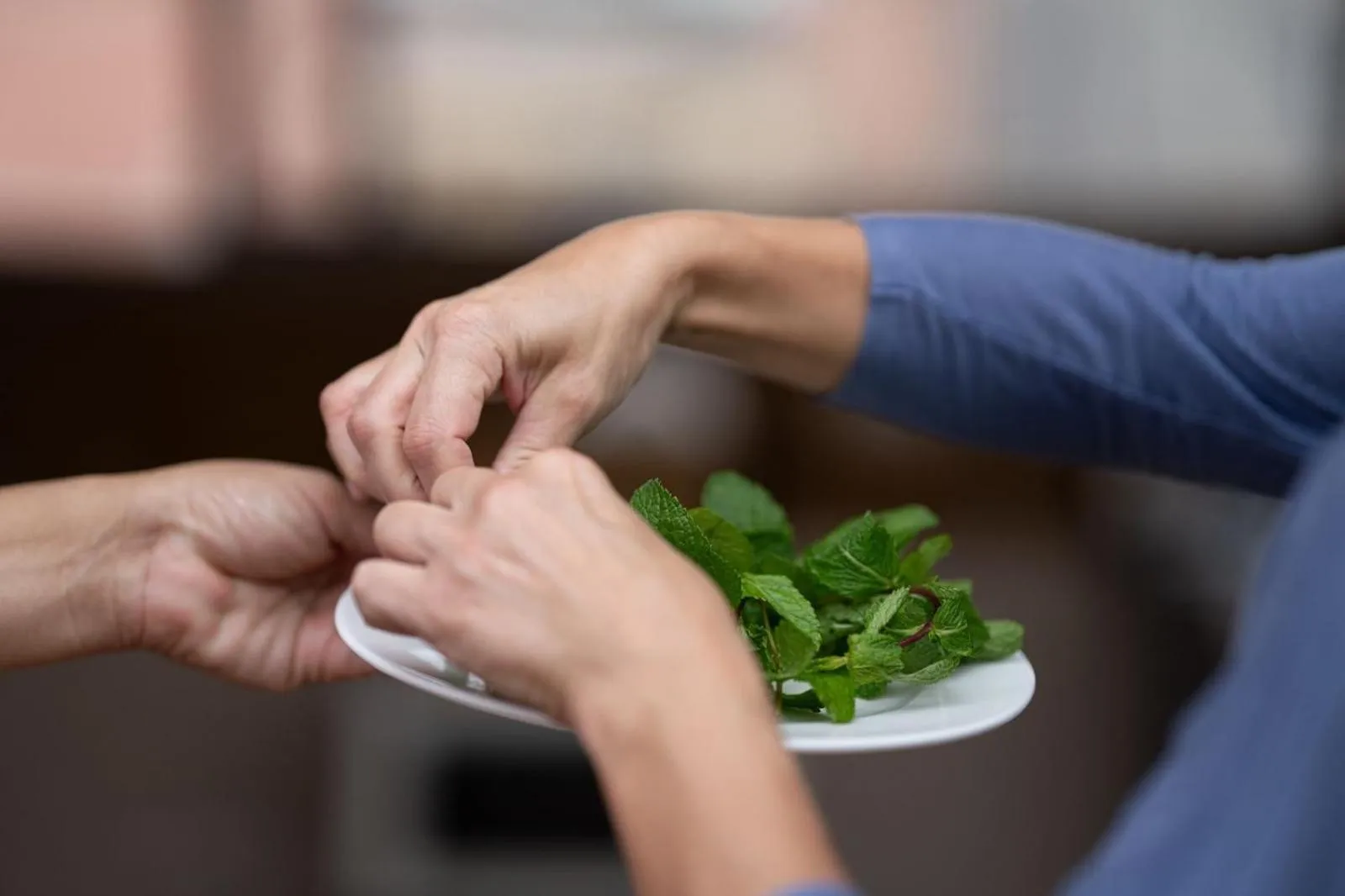 Kitchen or kitchenette in Riad Atrium & Spa