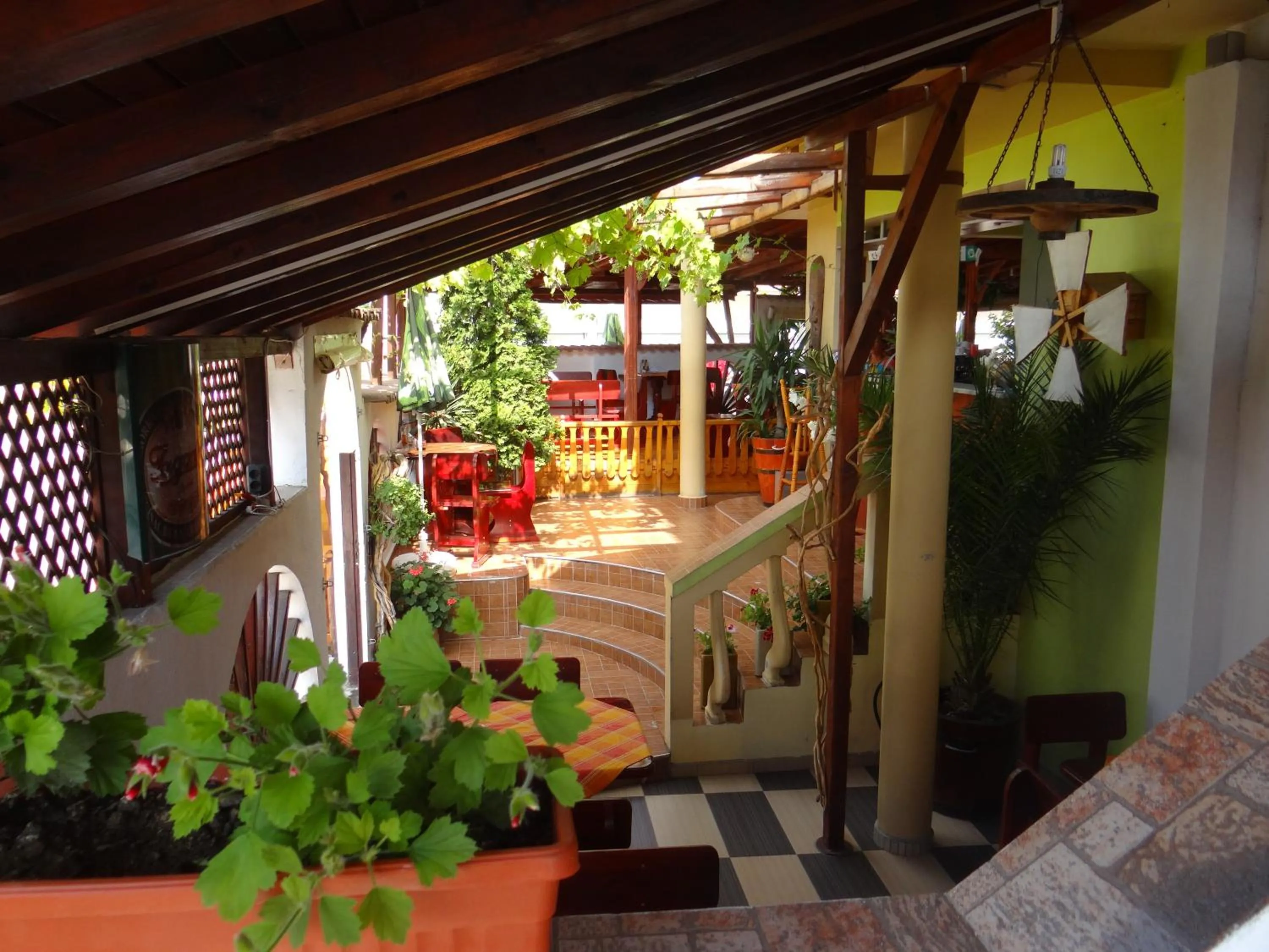 Guest House Rosa