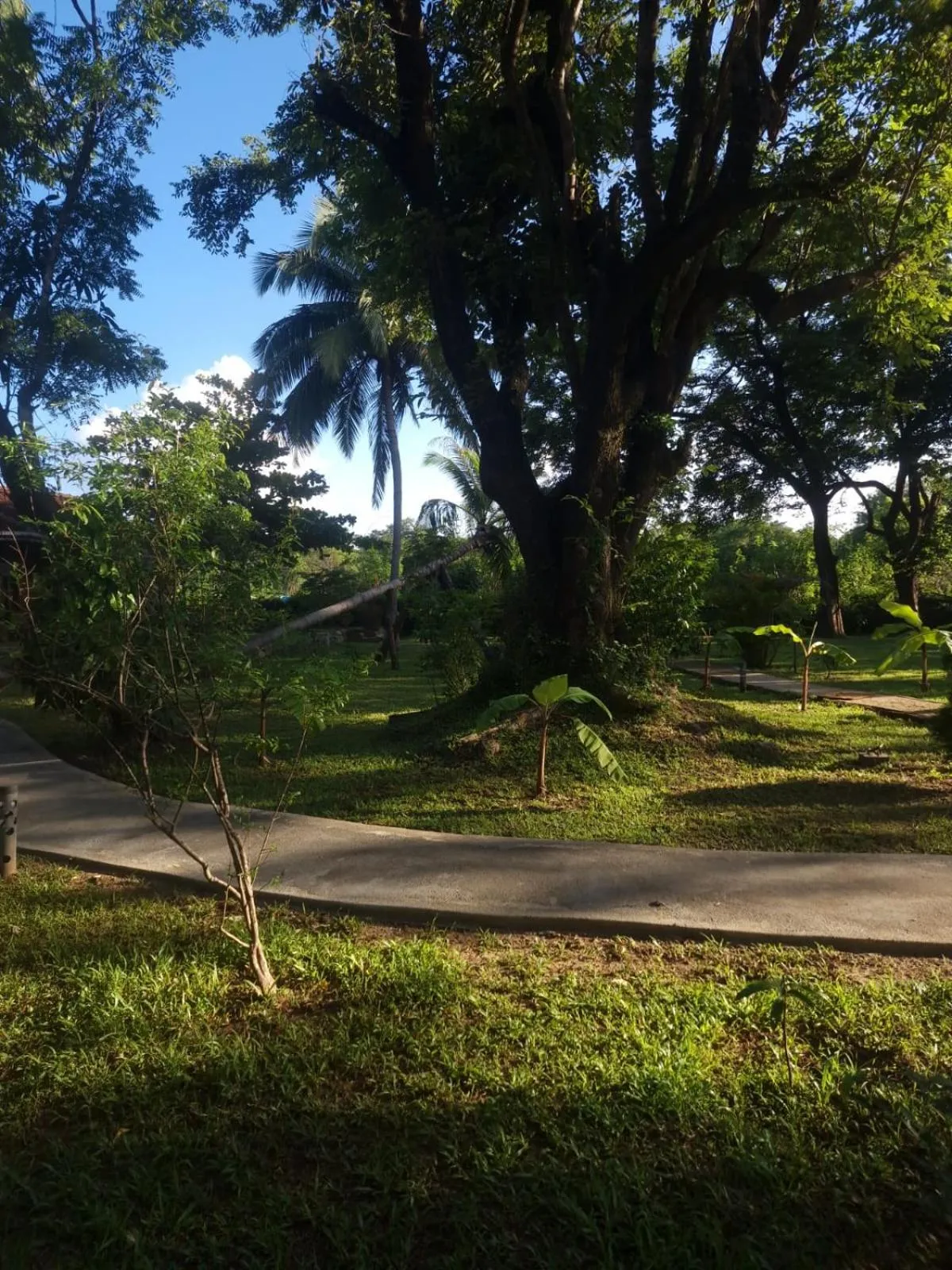 Garden in Sigiriya Cottage