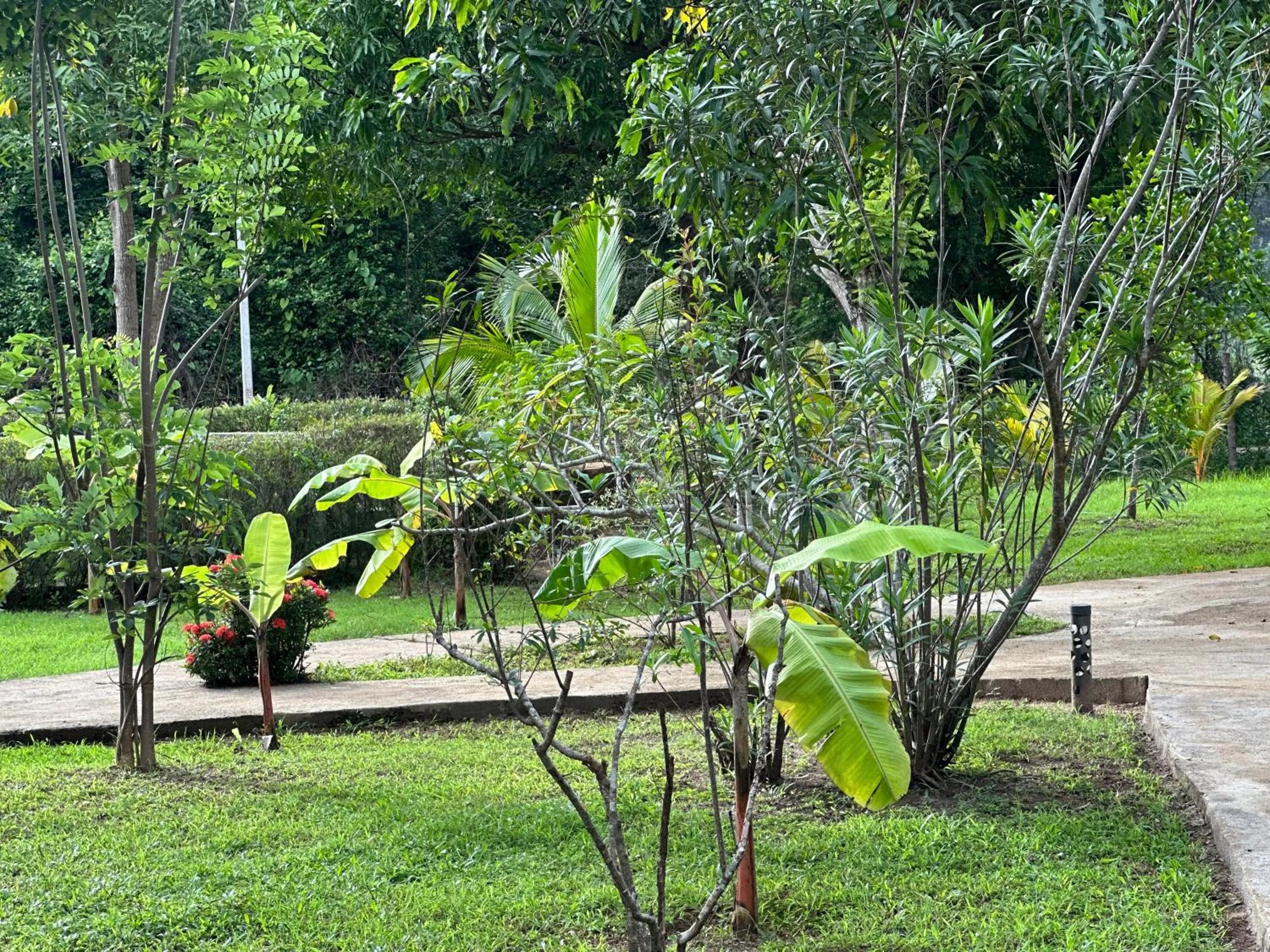 Sigiriya Cottage