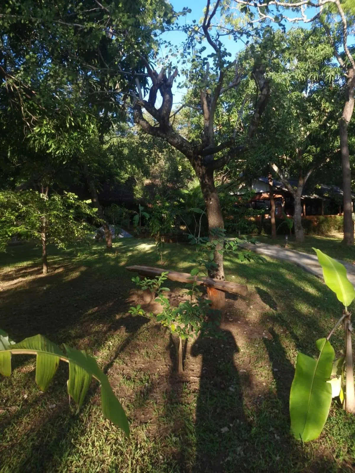 Sigiriya Cottage
