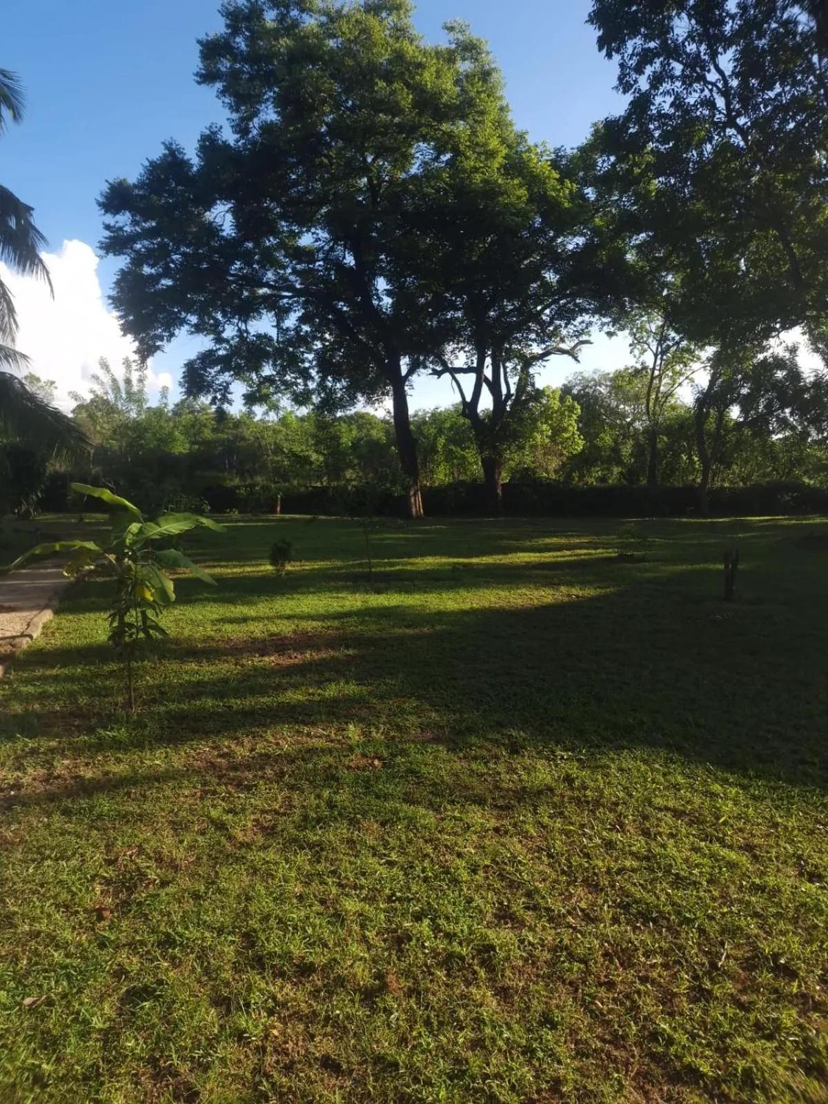 Sigiriya Cottage