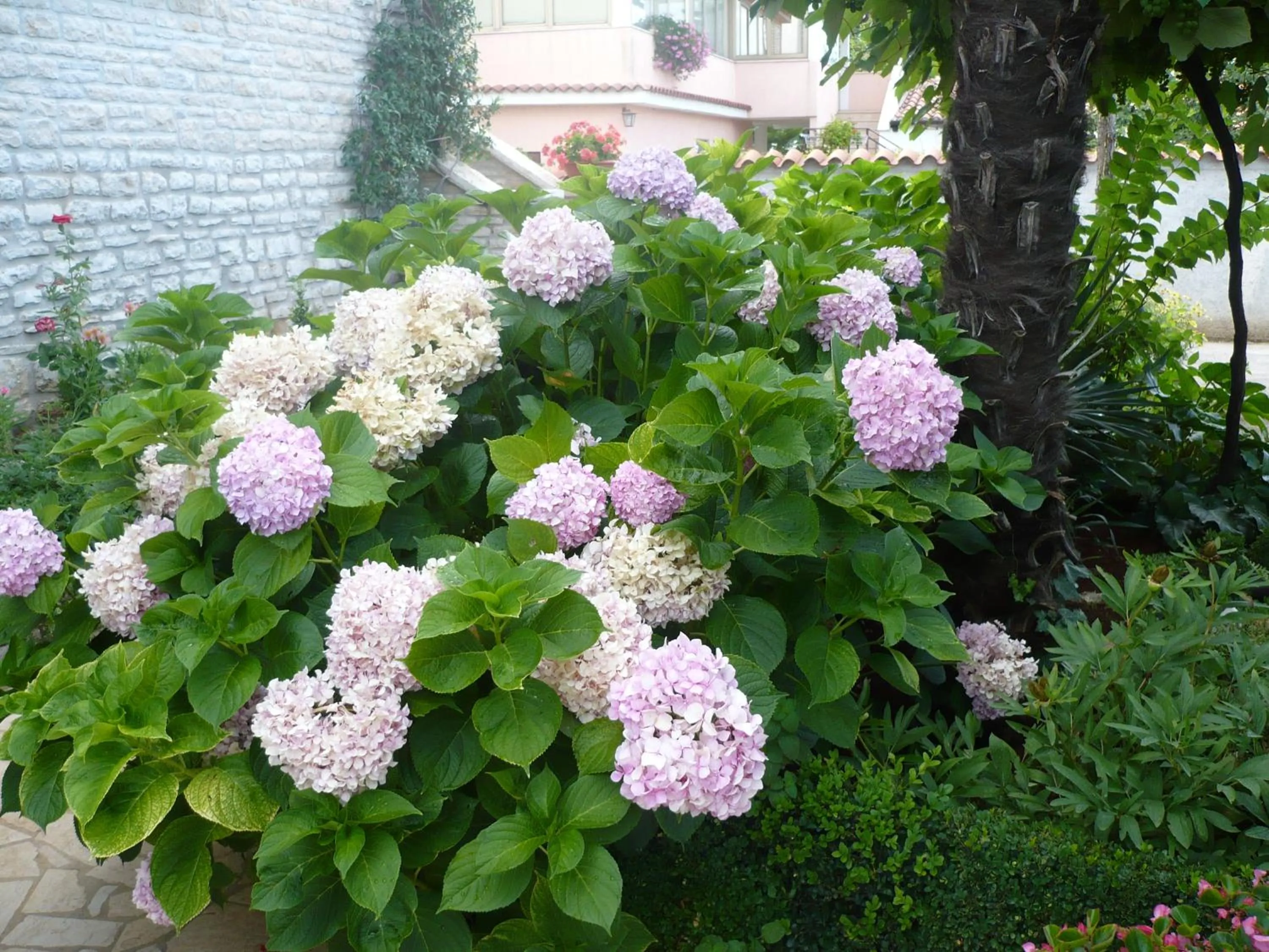 Summer in Apartmani Villa Otilija