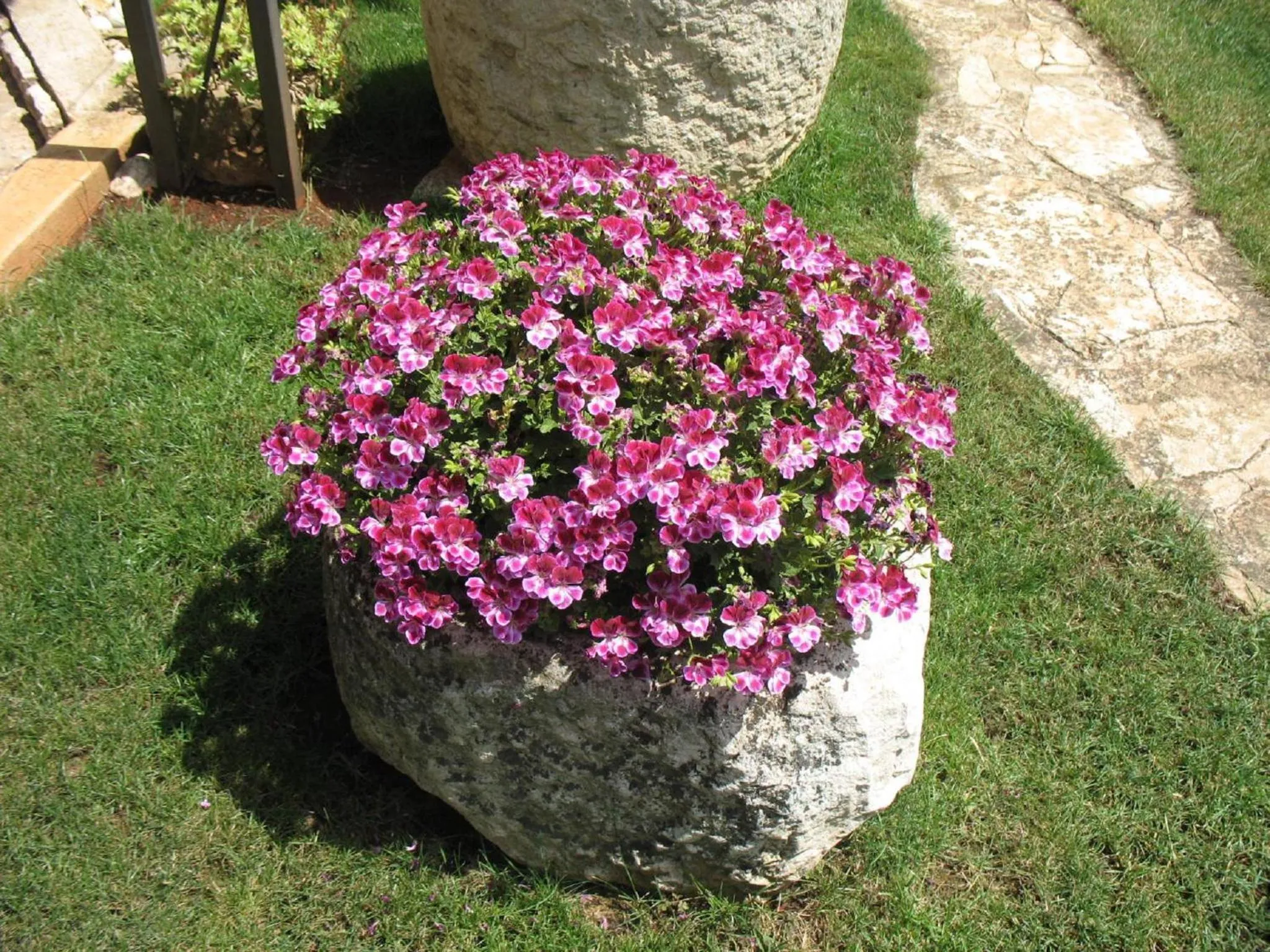 Garden in Apartmani Villa Otilija