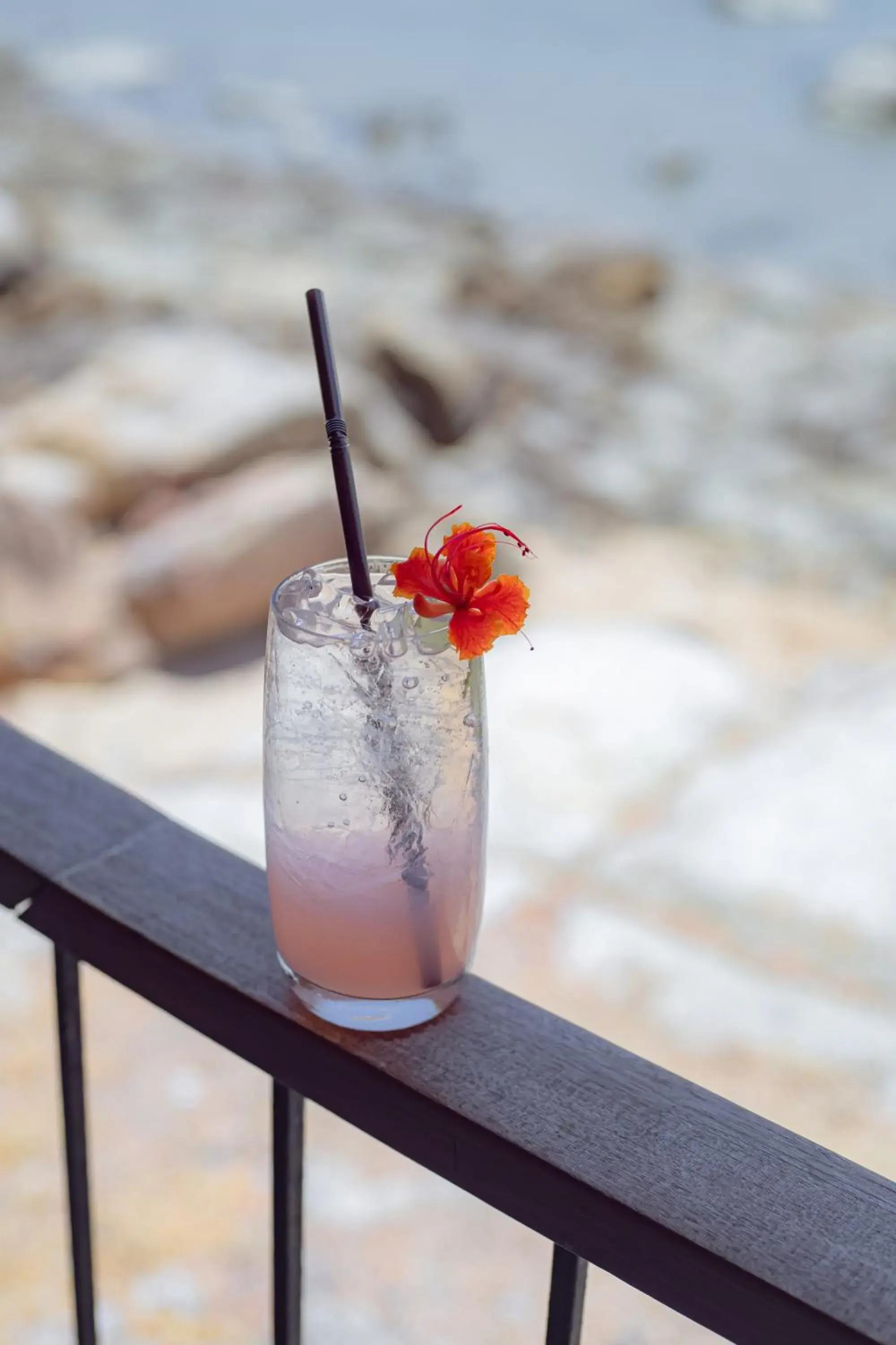 Restaurant/places to eat in Sea Sun Bed & Beyond Restaurant/places to eat in Sea Sun Bed & Beyond