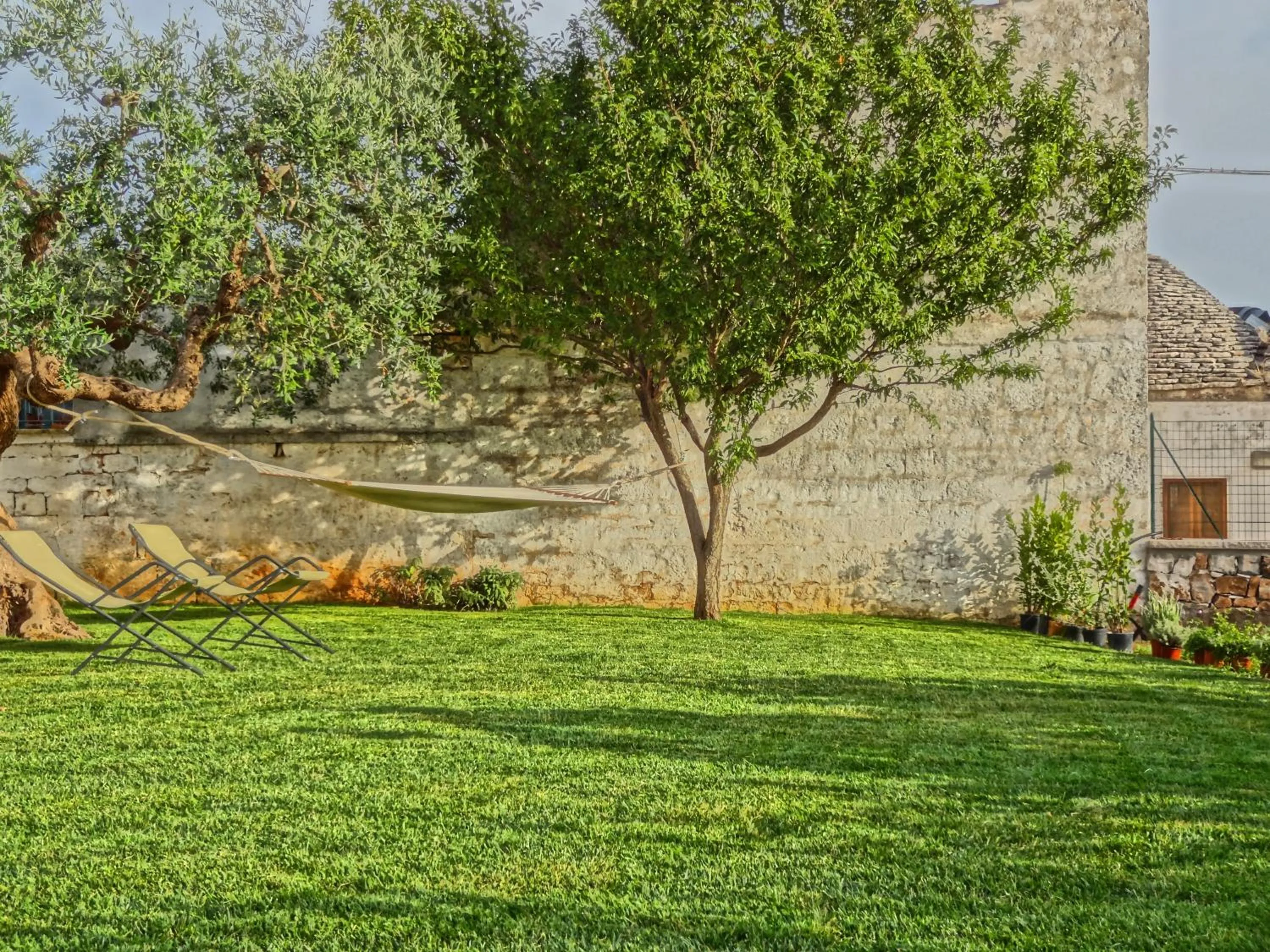 Garden in Trulli-eu Guesthouse Alberobello