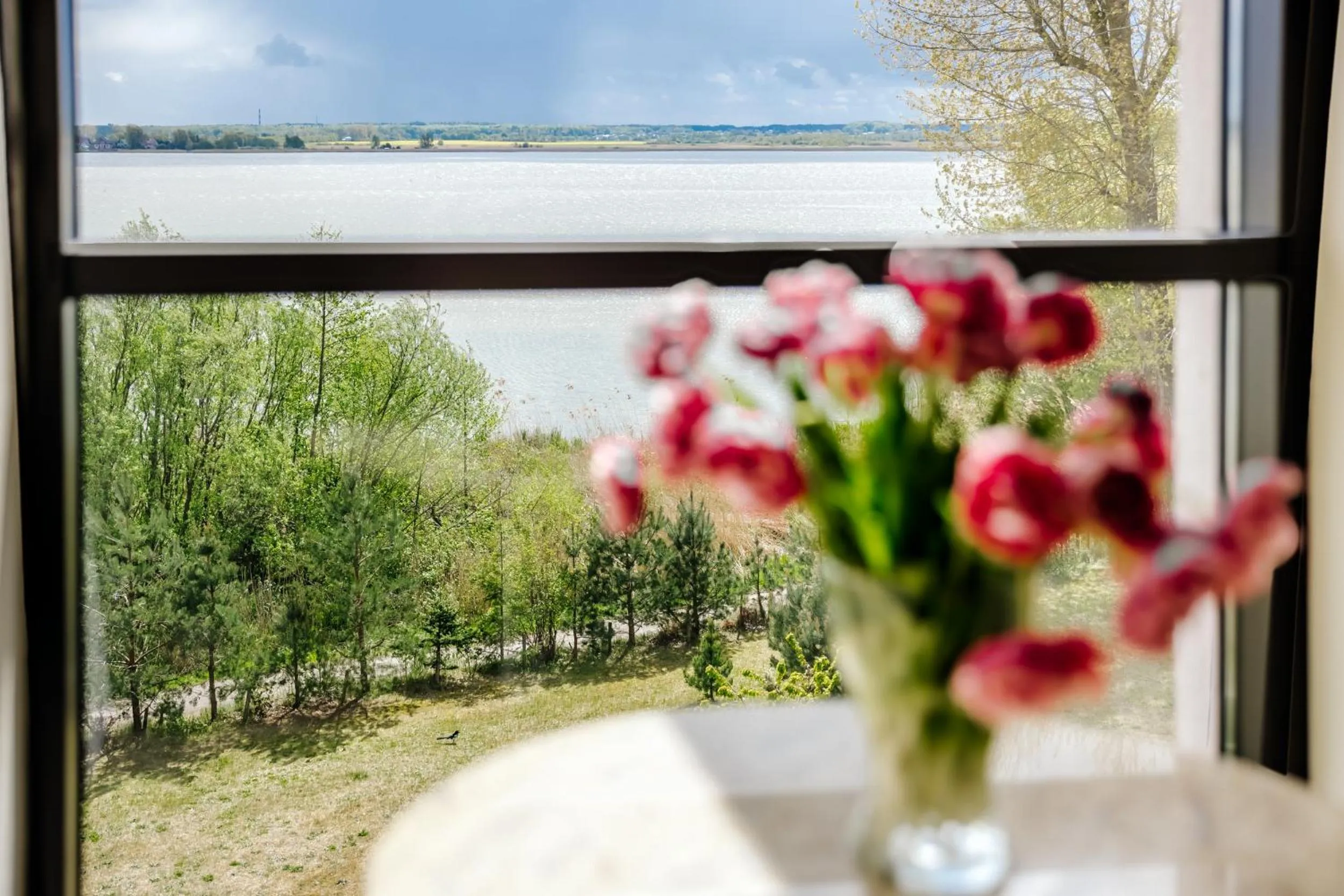 View (from property/room) in Hotel Emocja SPA